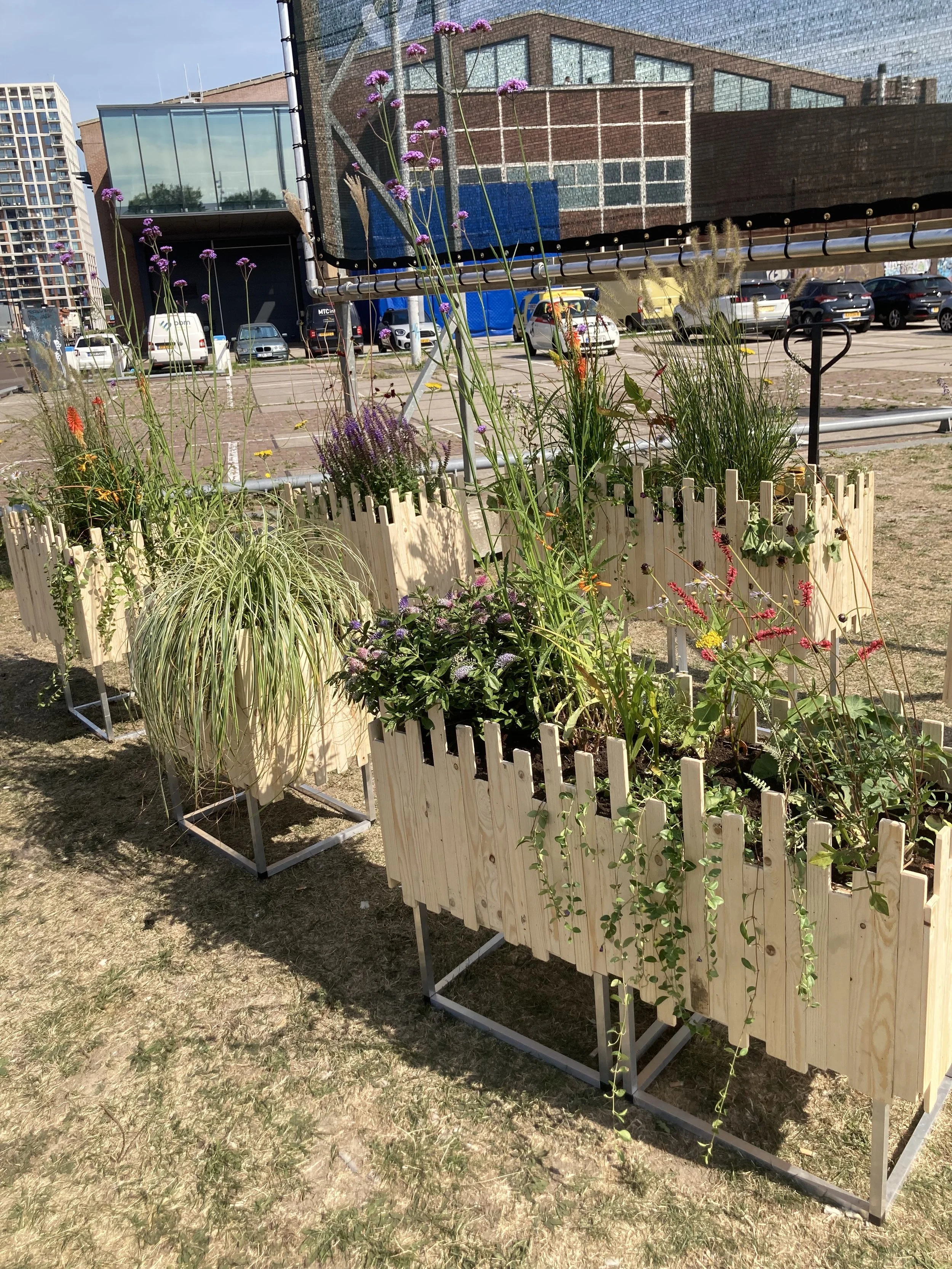 Kunstproject NDSM werf IMG_6990.jpeg