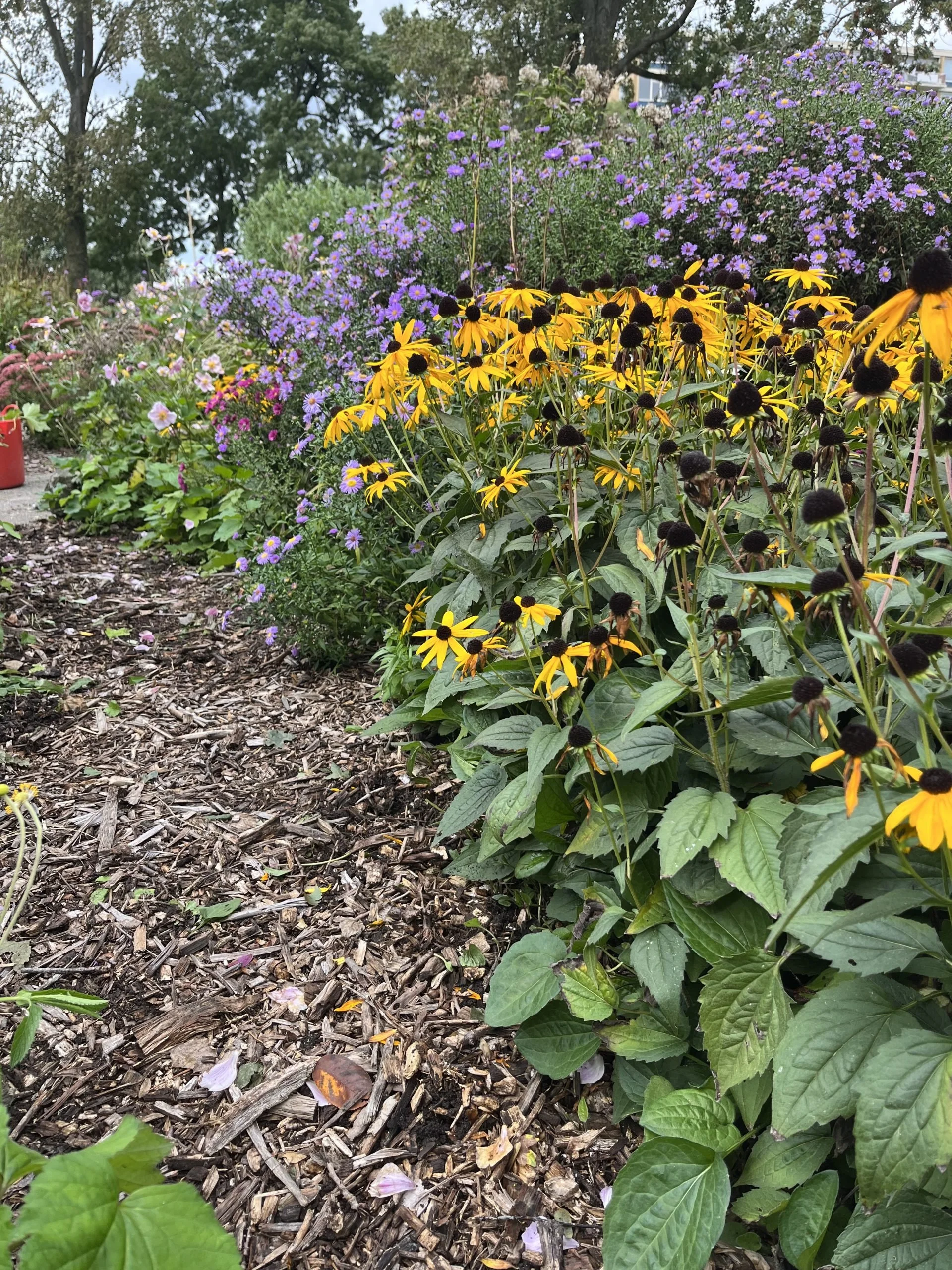 Maastuin IMG_2257-scaled.jpeg