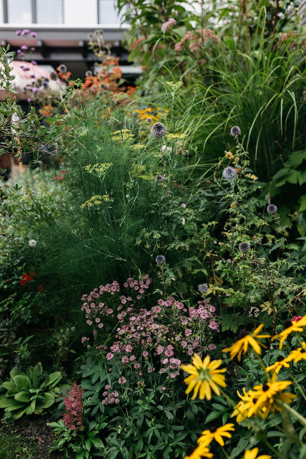 Genieten aan het water Tuin-Voorhout-jeannine-rijsdijk-18.jpg
