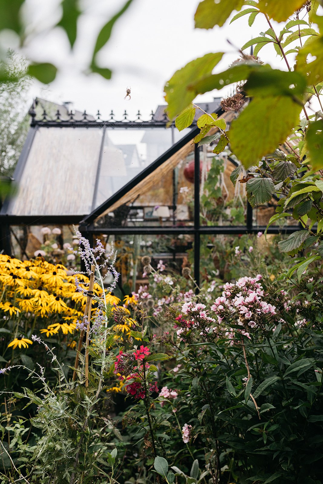 Genieten aan het water Tuin-Voorhout-jeannine-rijsdijk-58.jpg