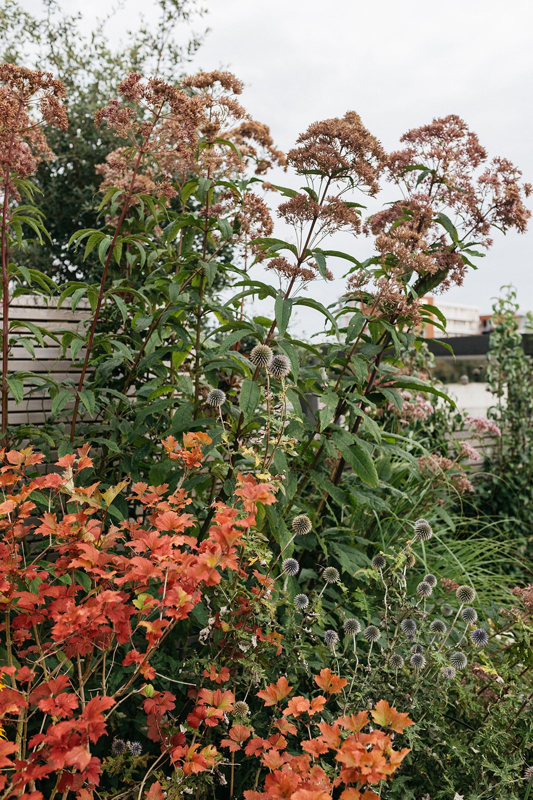 Genieten aan het water Tuin-Voorhout-jeannine-rijsdijk-61.jpg