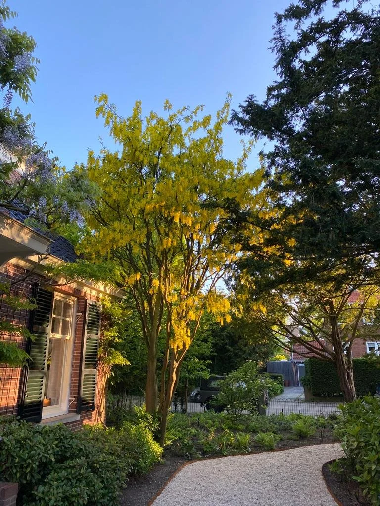 PHOTO-2021-06-08-20-50-11 2.jpg