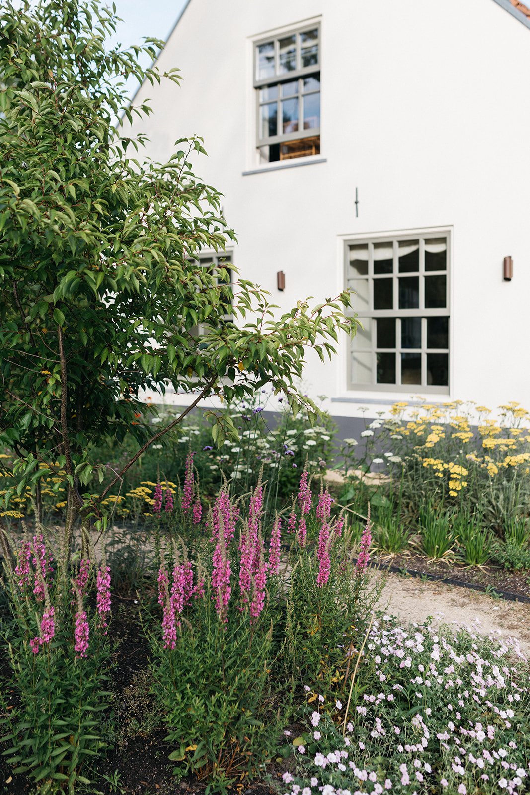 Warmond dilys_-30.jpg