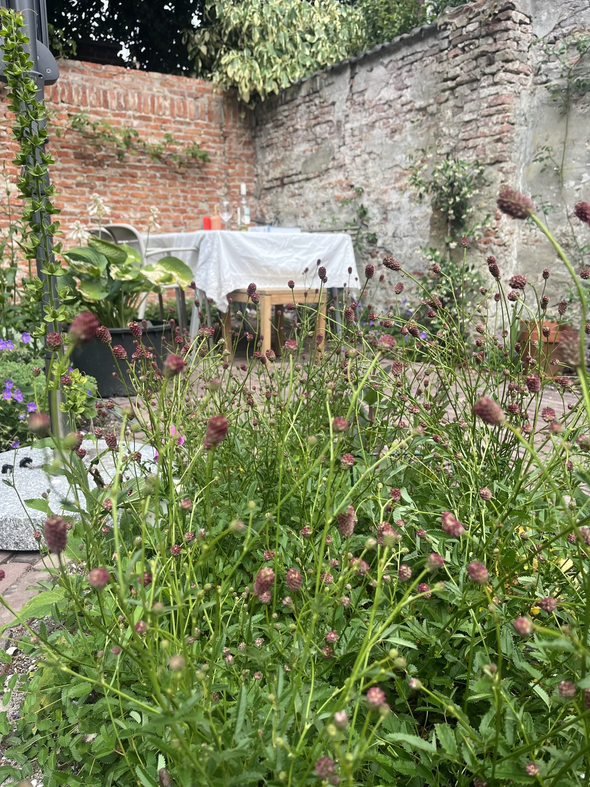 Monumentale stadstuin IMG_1229-scaled.jpeg