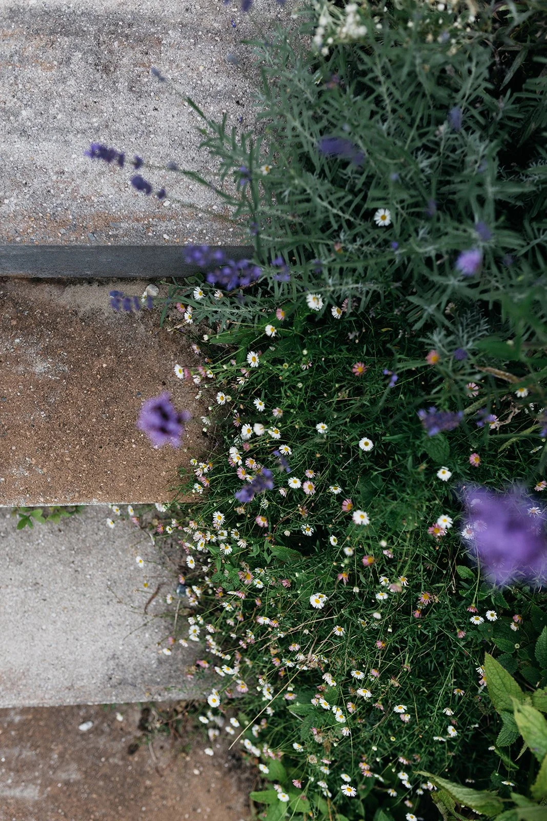 Genieten aan het water Tuin-Voorhout-jeannine-rijsdijk-15.jpg