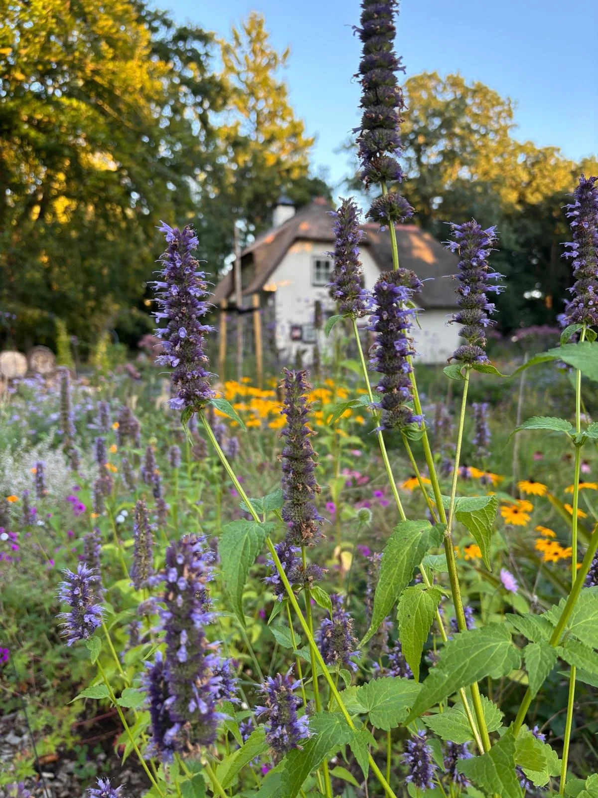 PHOTO-2025-08-24-22-47-39 4.jpg