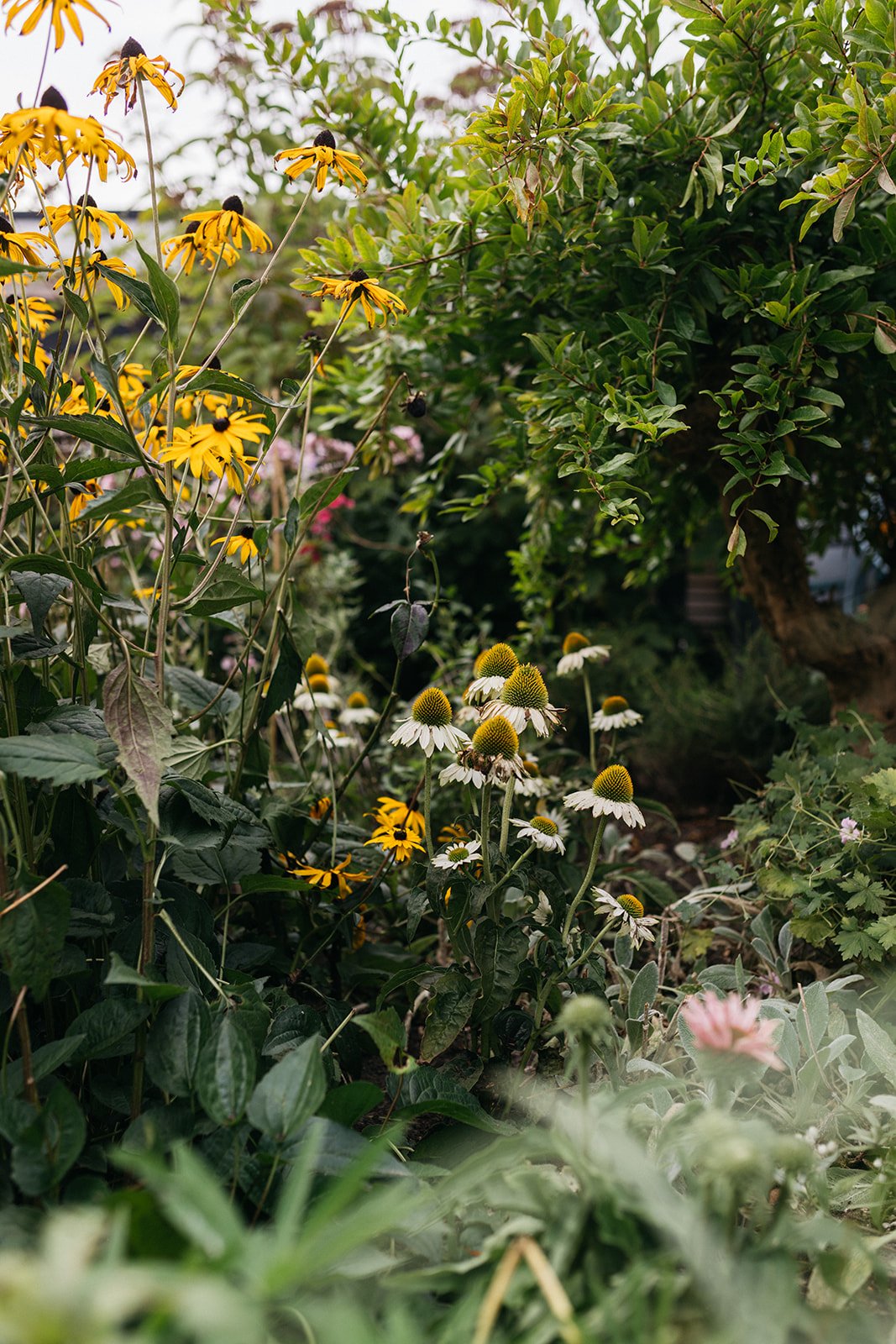 Genieten aan het water Tuin-Voorhout-jeannine-rijsdijk-51.jpg