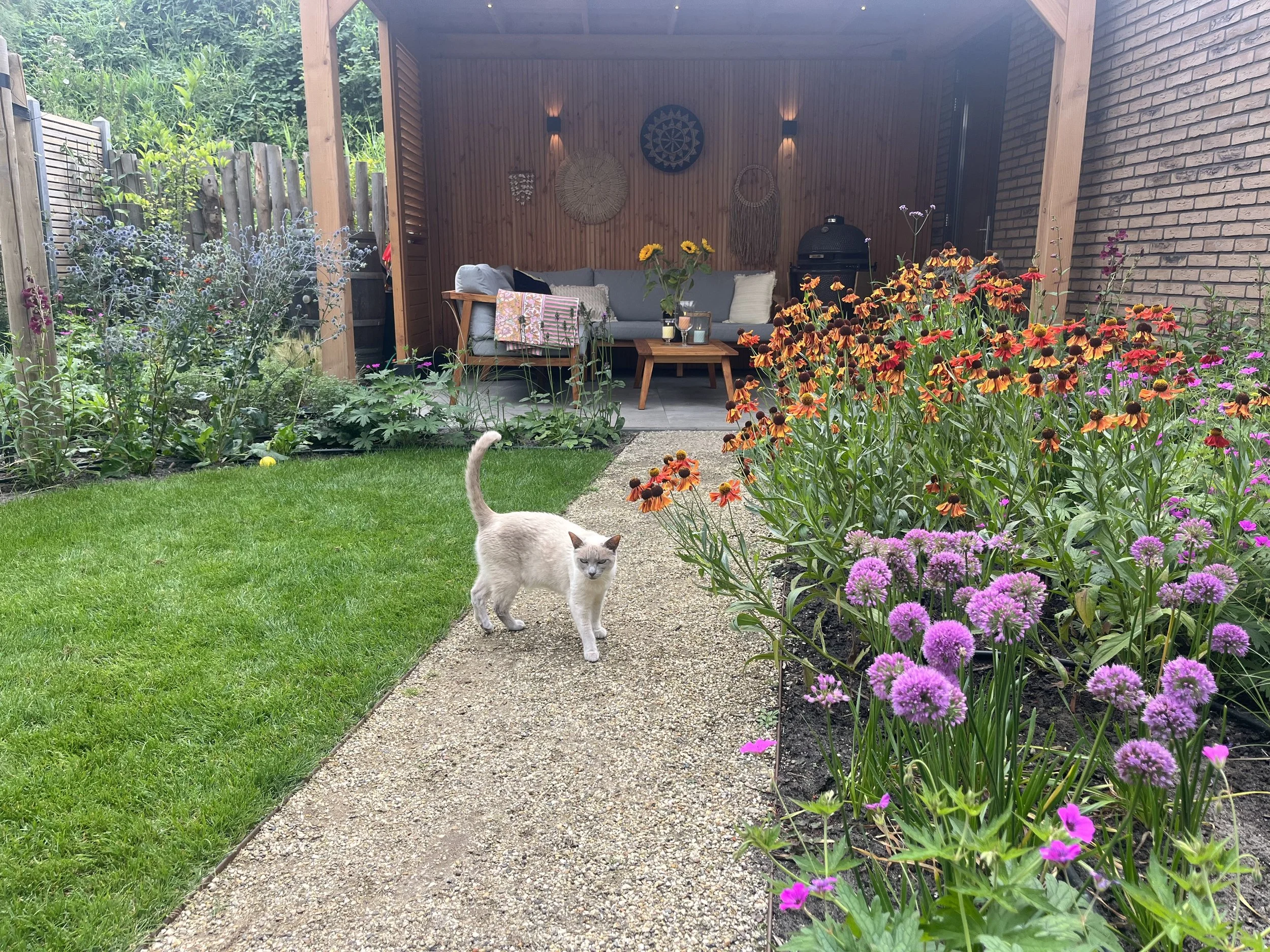 Loungen in alle kleuren