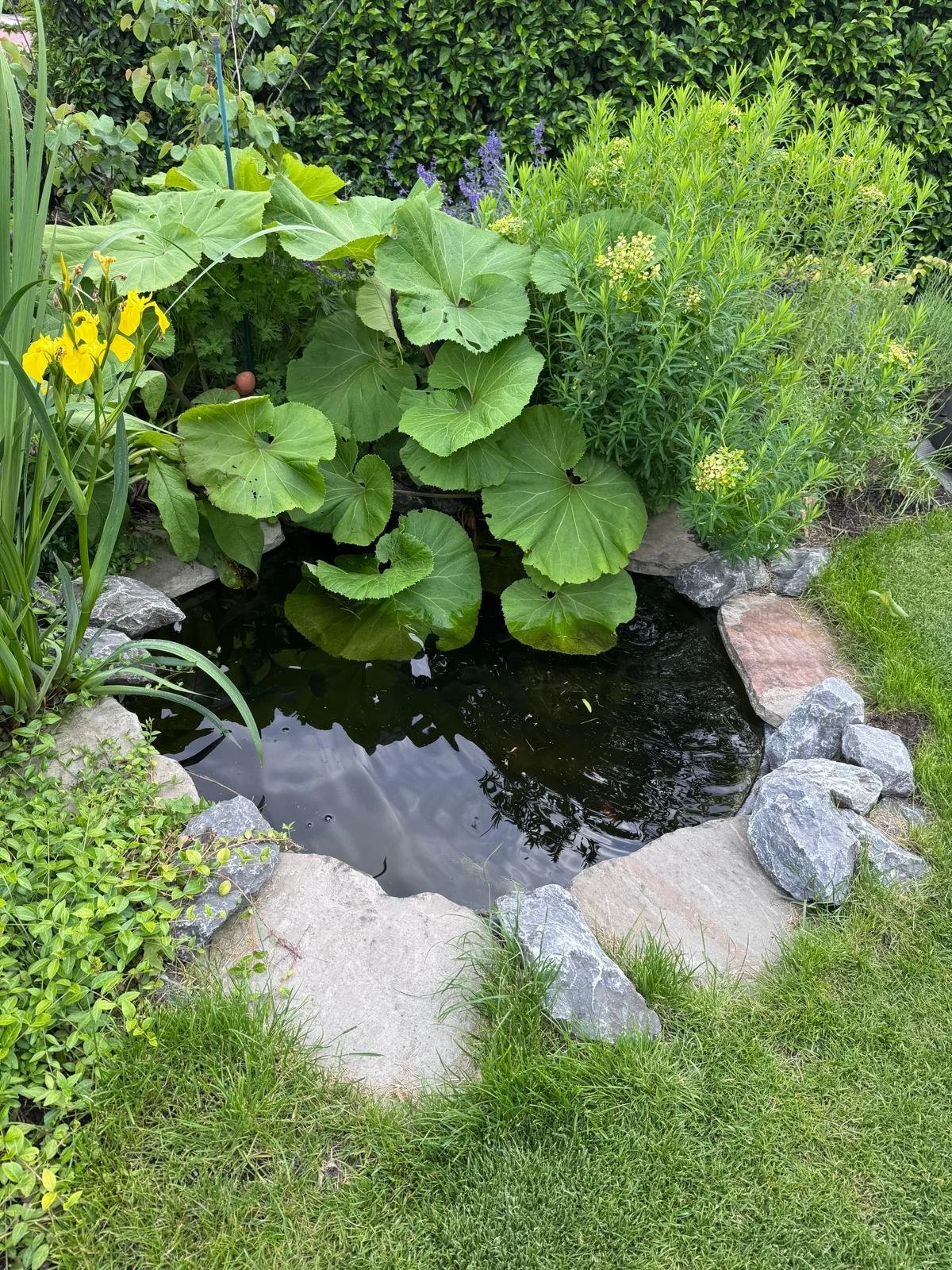 PHOTO-2025-05-31-18-43-50 2.jpg