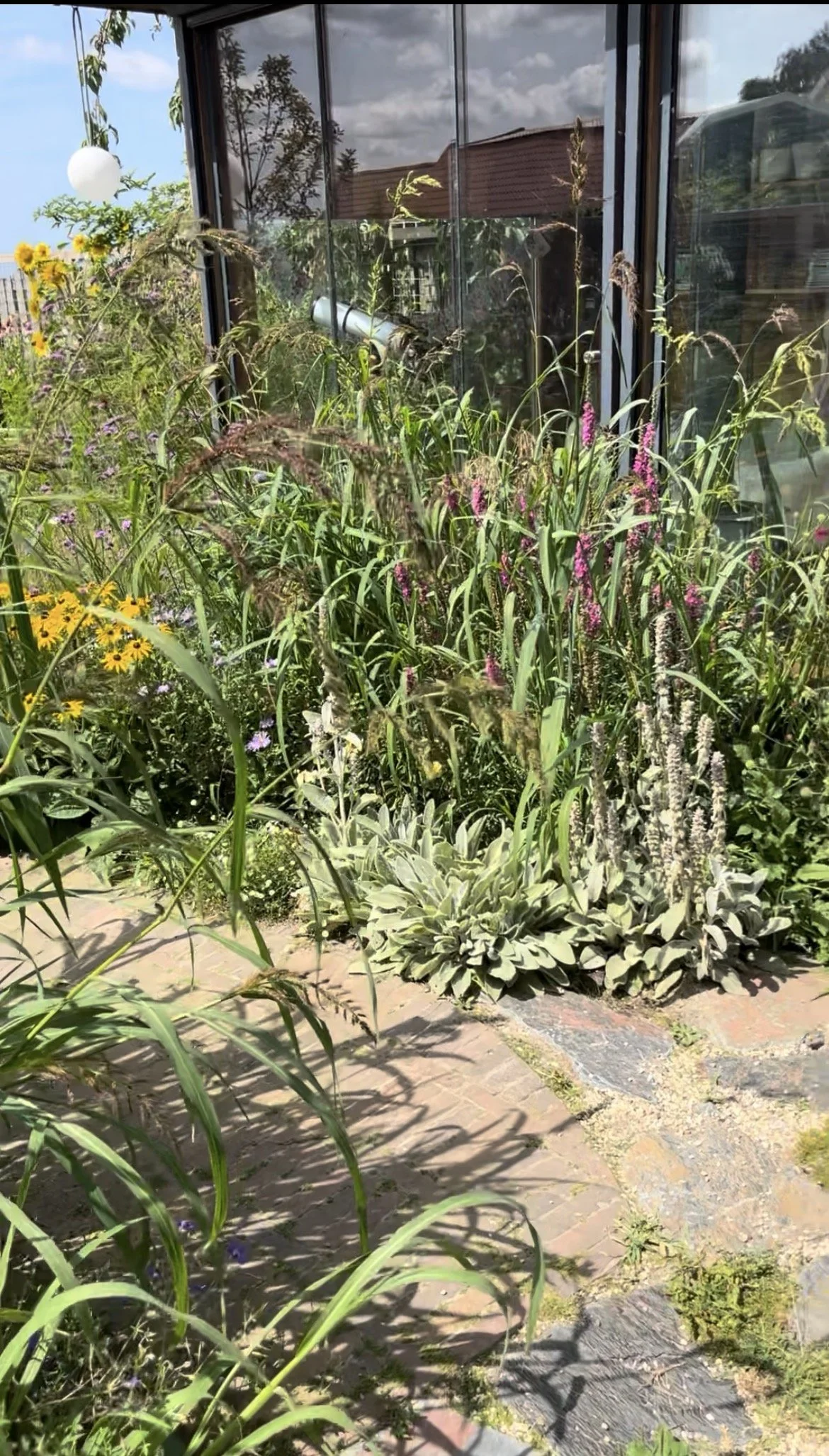 IMG_8691.jpeg