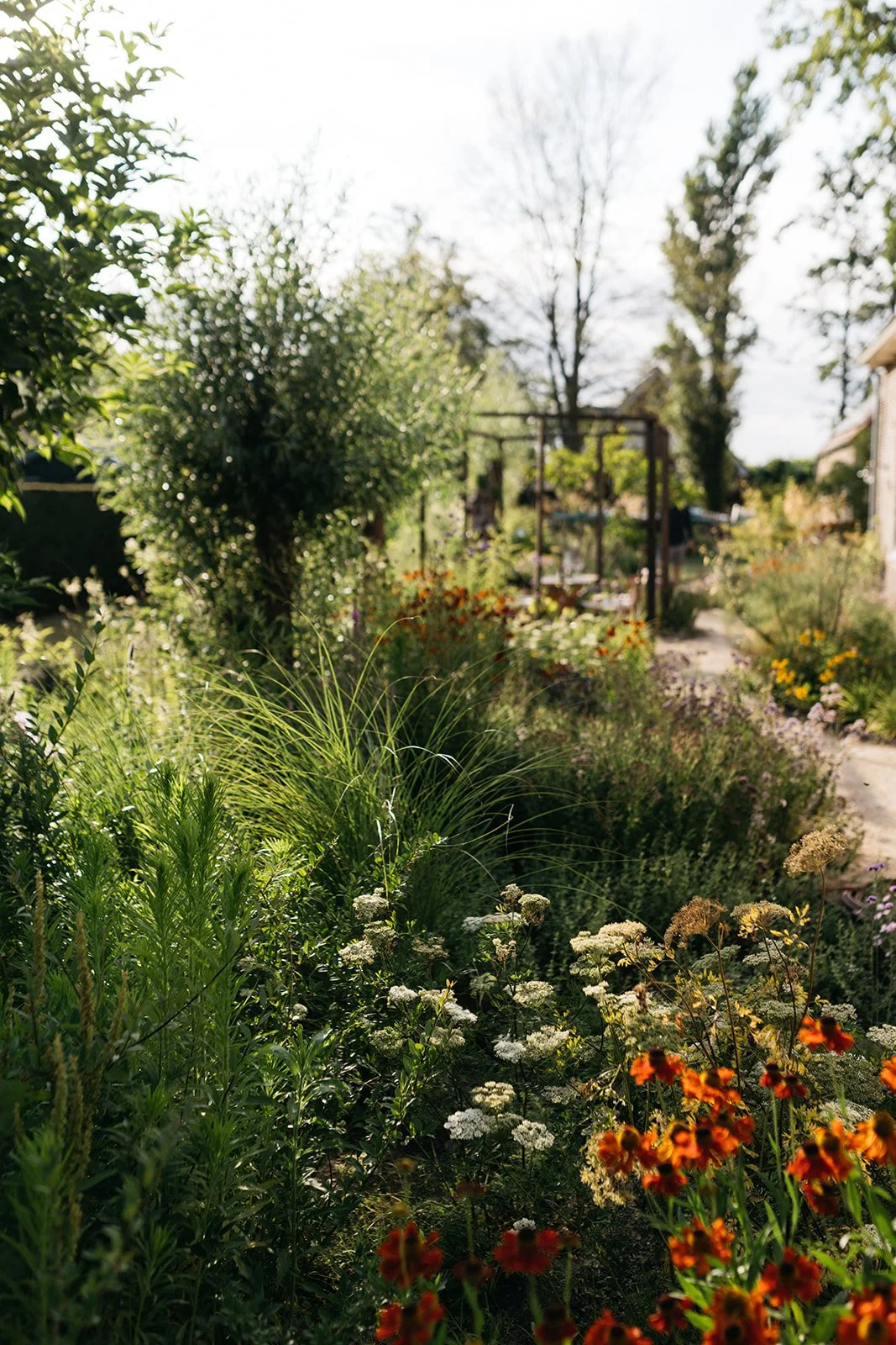 Warmond dilys_-15.jpg