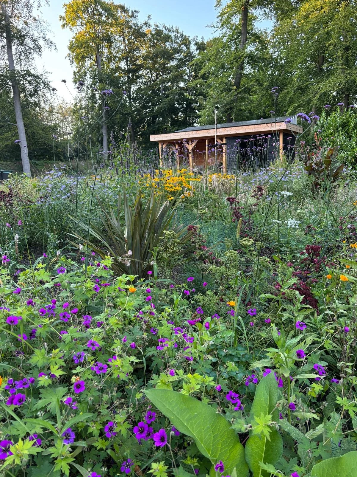 PHOTO-2025-08-24-22-47-39 3.jpg