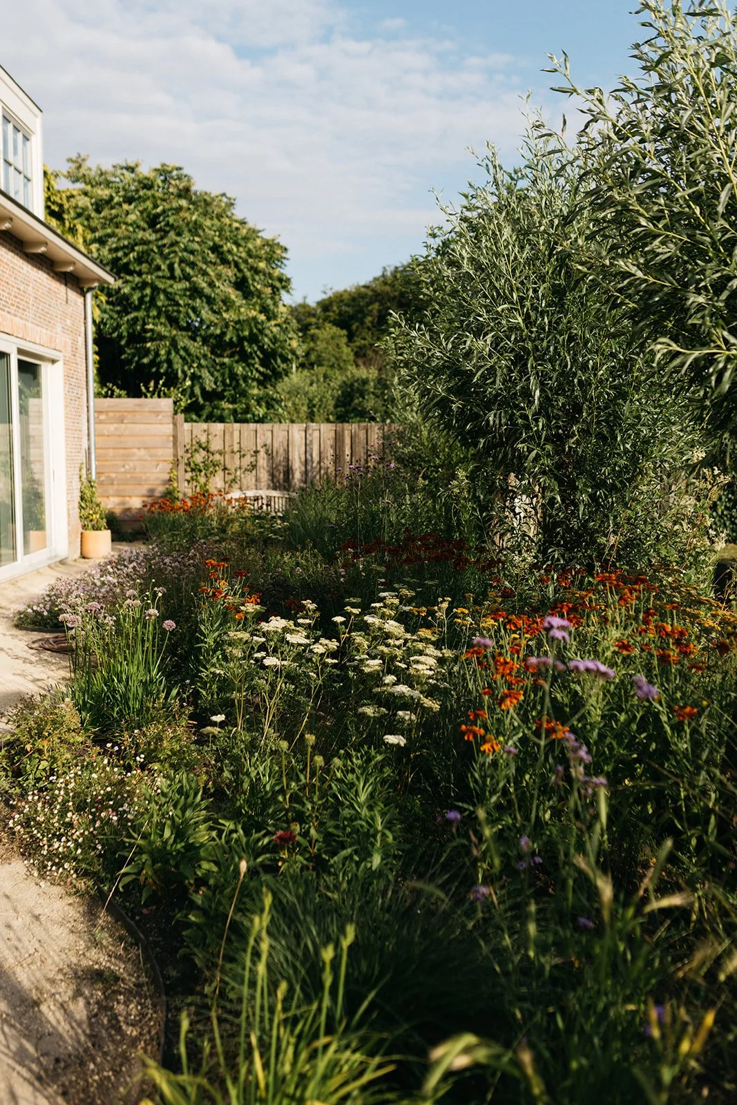 Warmond dilys_-10.jpg