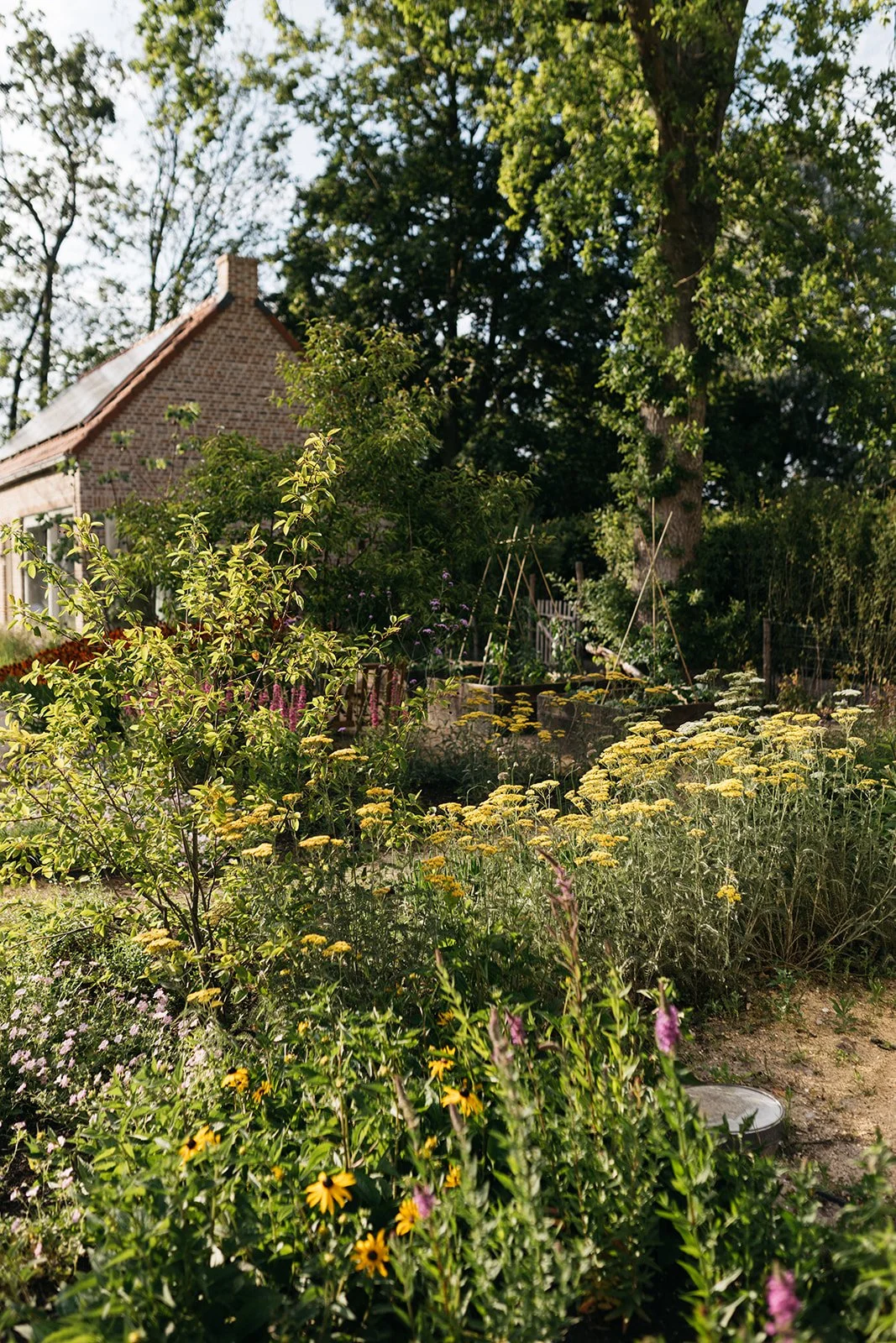 Warmond dilys_-6.jpg