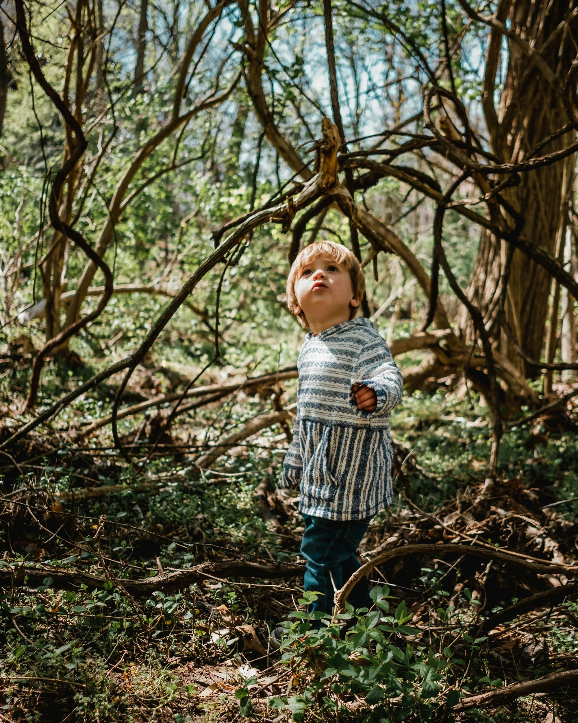 Een jonge jongen in een bos, omringd door bomen en takken, terwijl hij onder een doornenhaag staand kijkt.