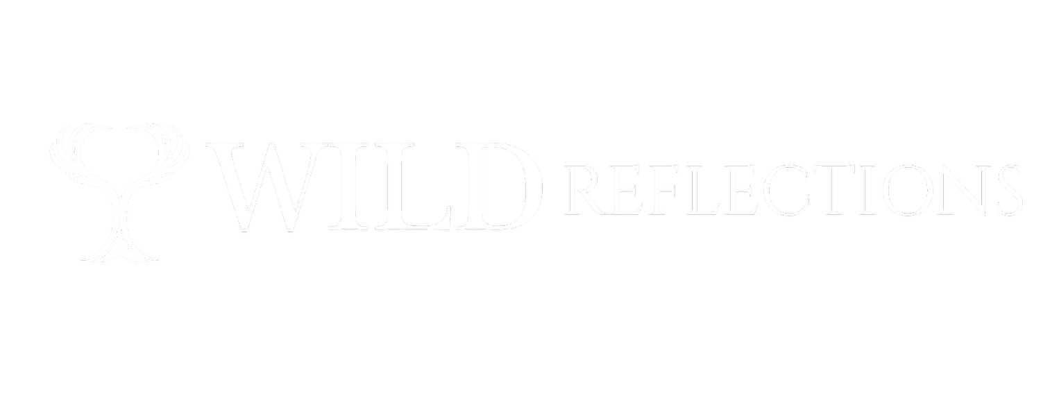 WILD REFLECTIONS