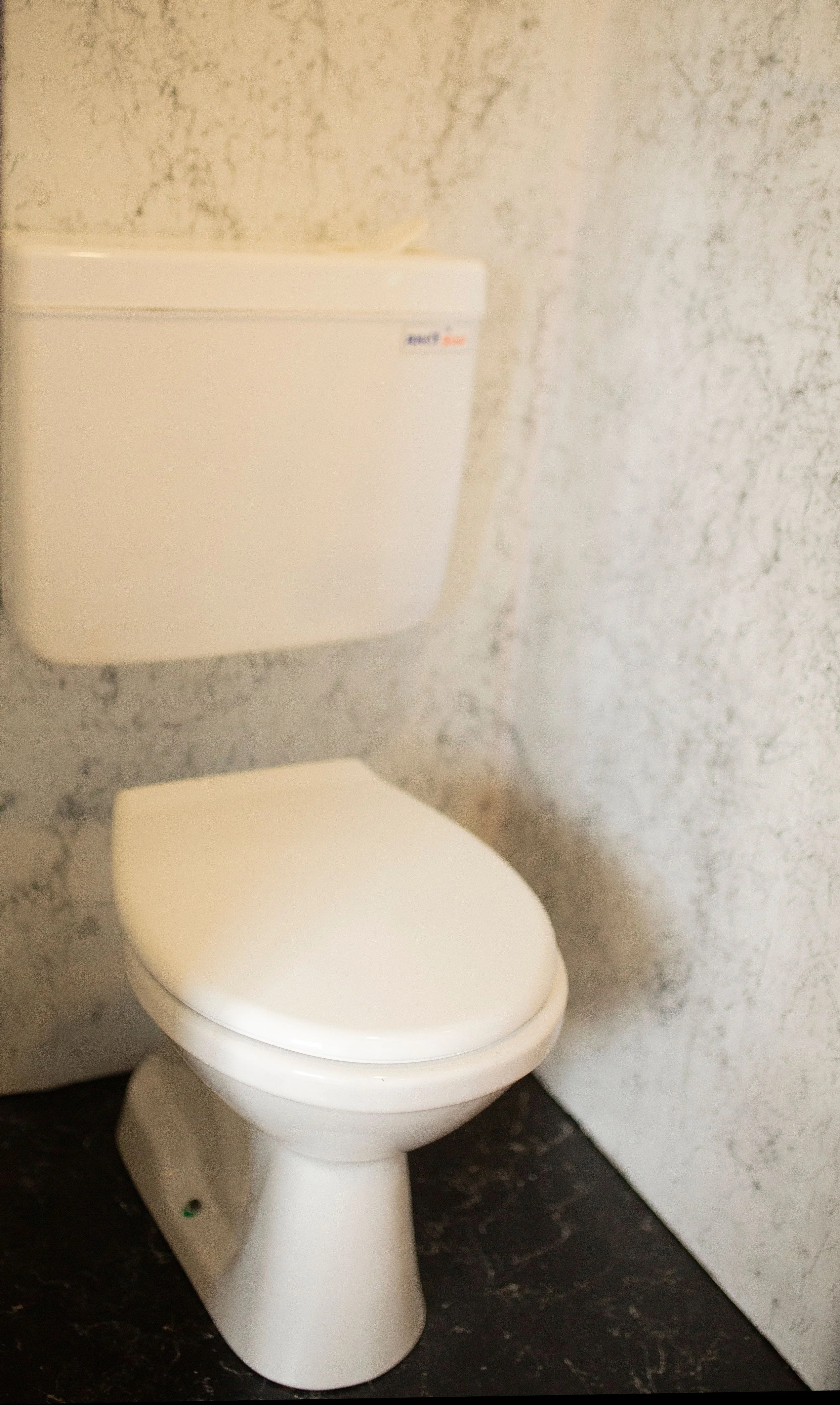 How to Replace a Toilet