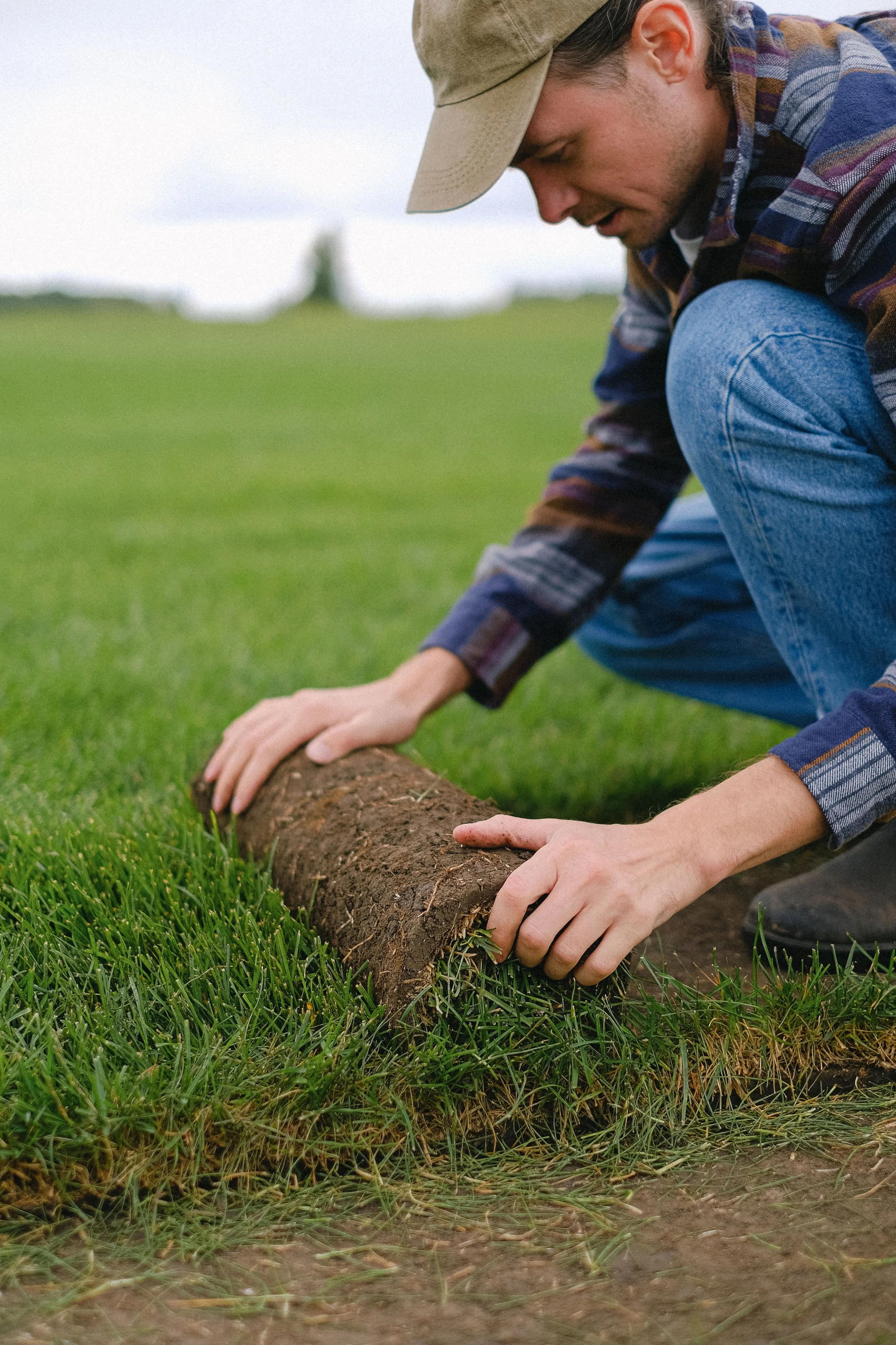 How to Lay Sod