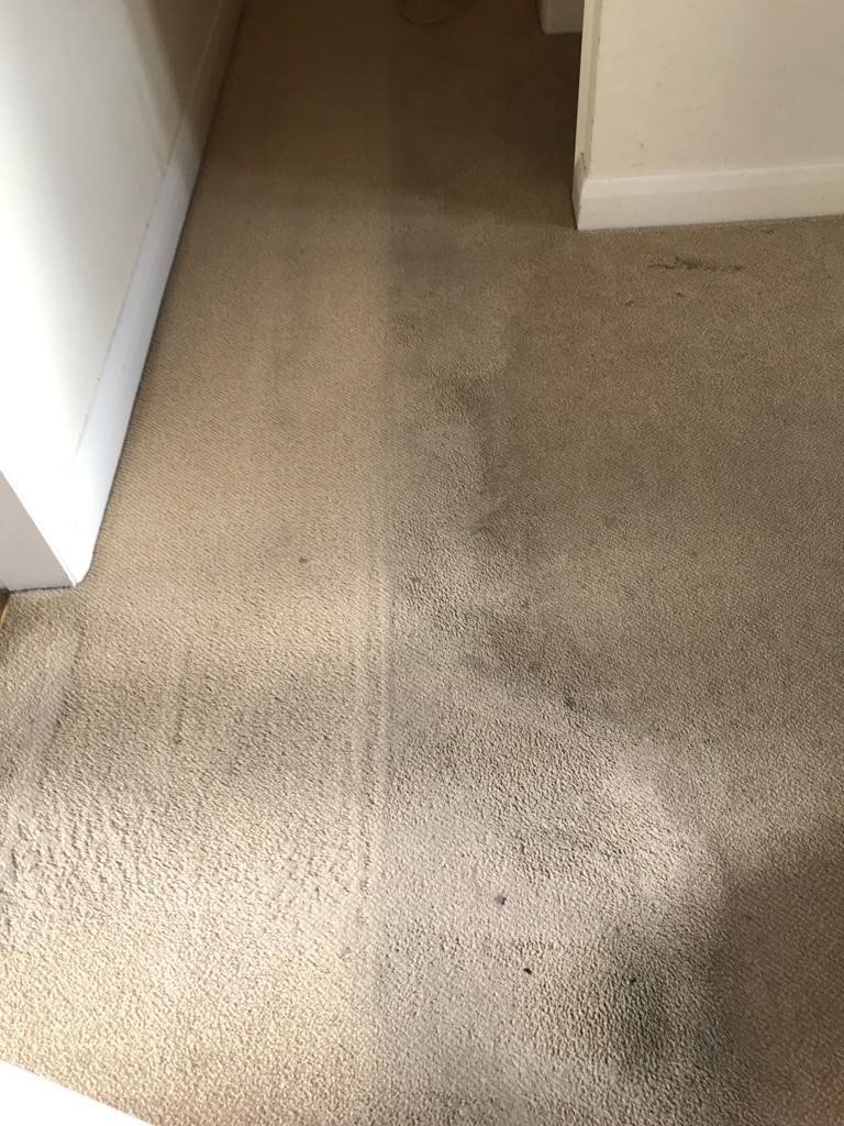 A beige carpet with dirt and stain marks near a white door and wall.