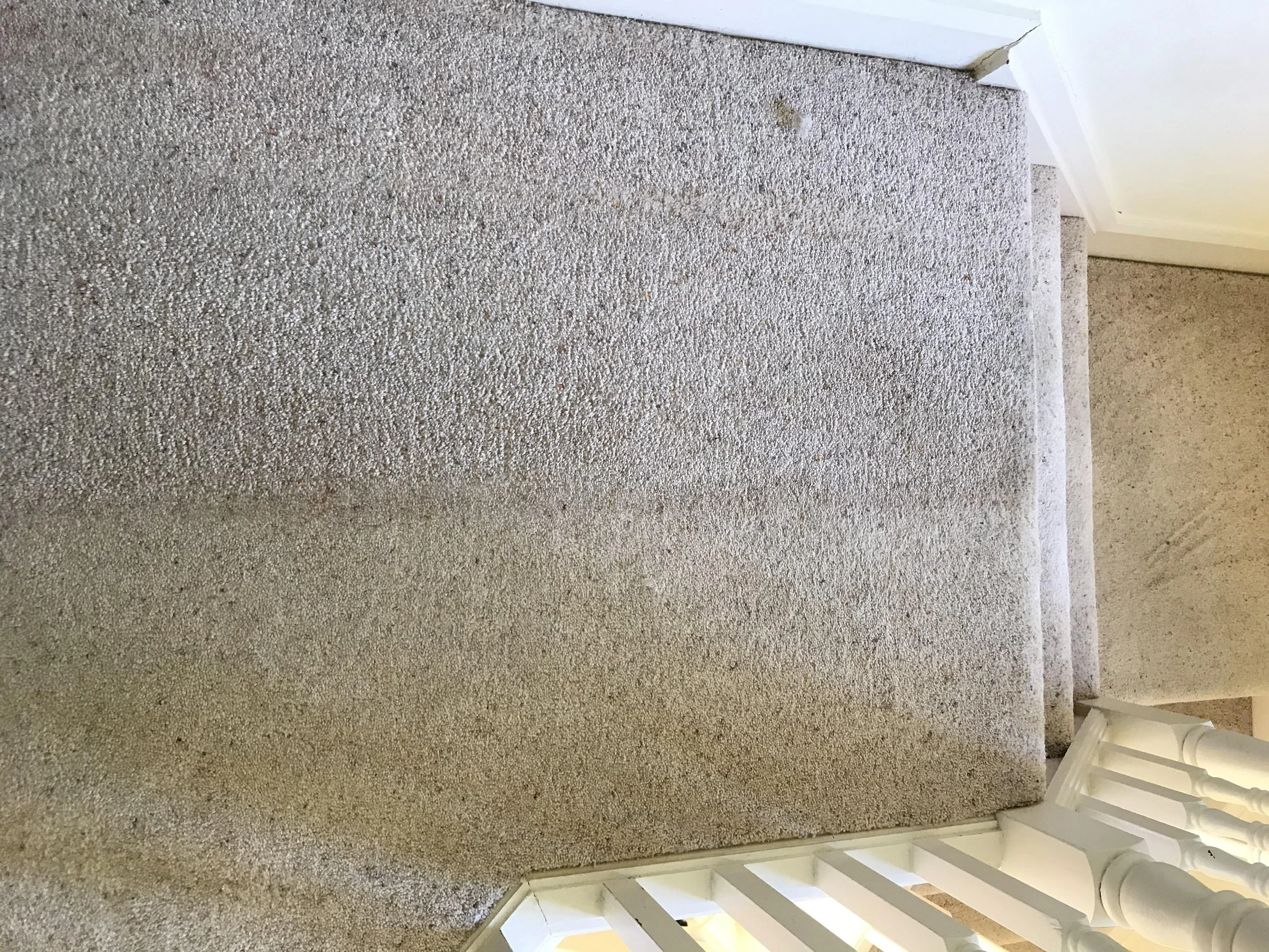 A staircase with beige carpeted steps leading downward, with a white railing on the right side and a white wall in the background.