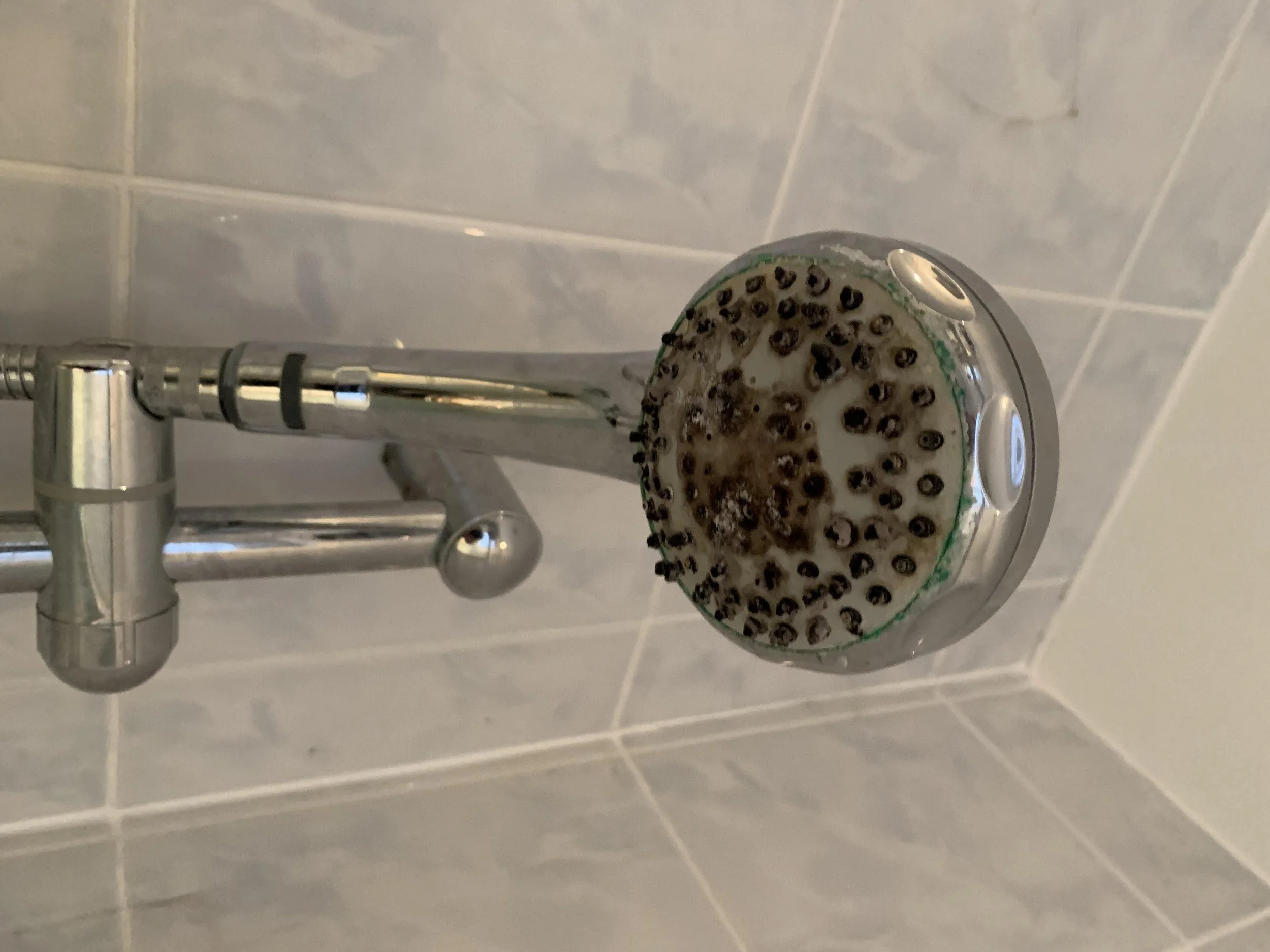A shower head with blackened nozzles, possibly due to mineral buildup, mounted on a tiled bathroom wall.