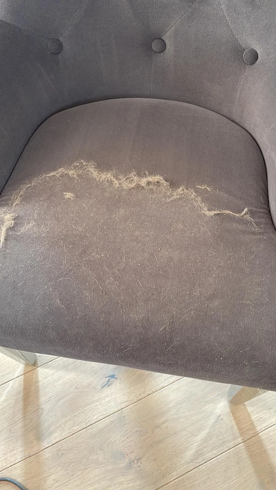 A black upholstered chair with a torn cushion, exposing stuffing and fabric fibers. The chair has button tufting on the backrest and stands on a light wood floor.
