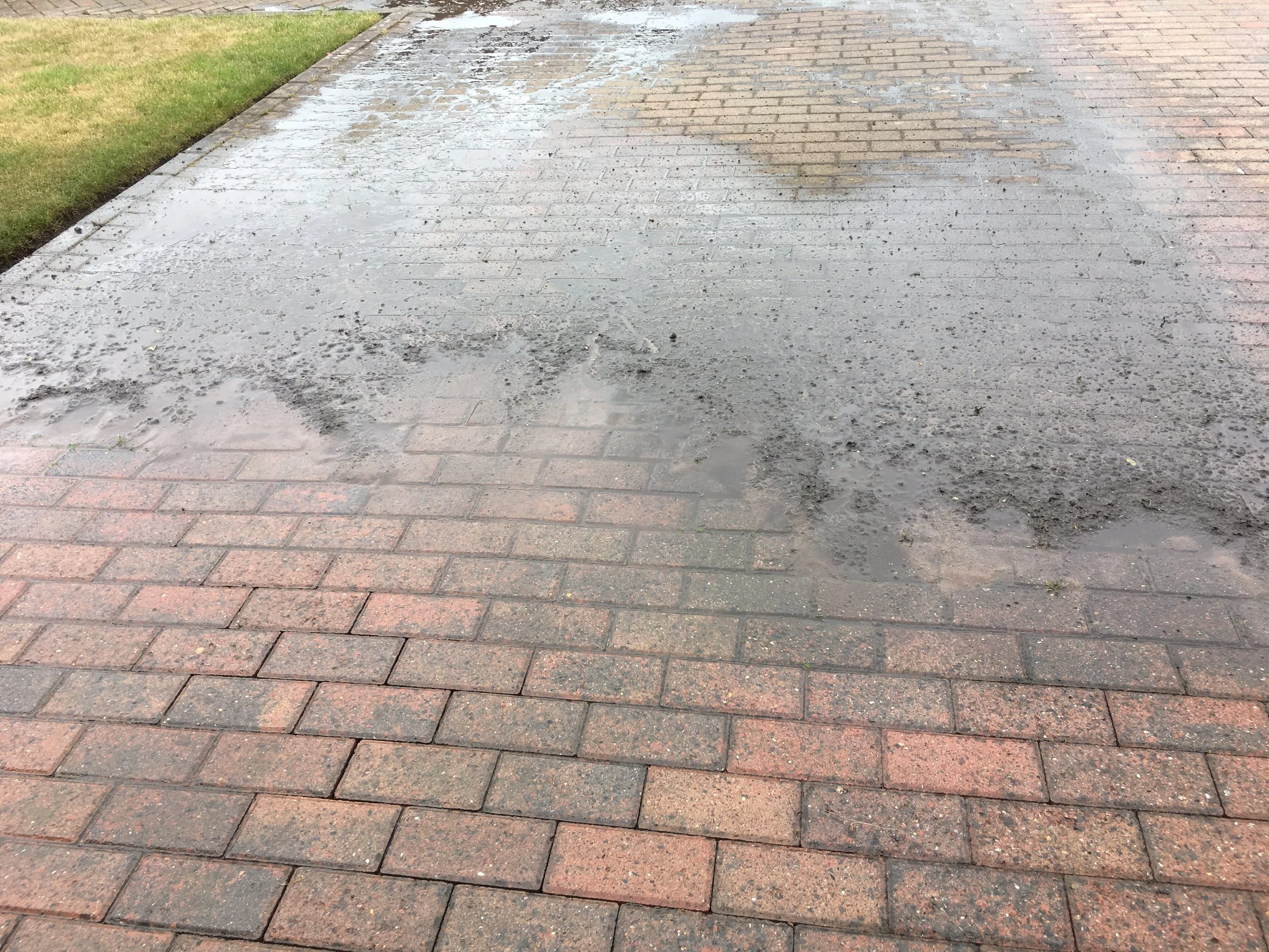 Wet brick sidewalk with patches of dirt and water, alongside a grassy lawn.