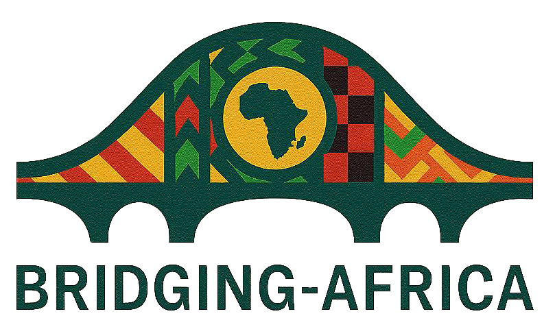 Bridging Africa Nonprofit