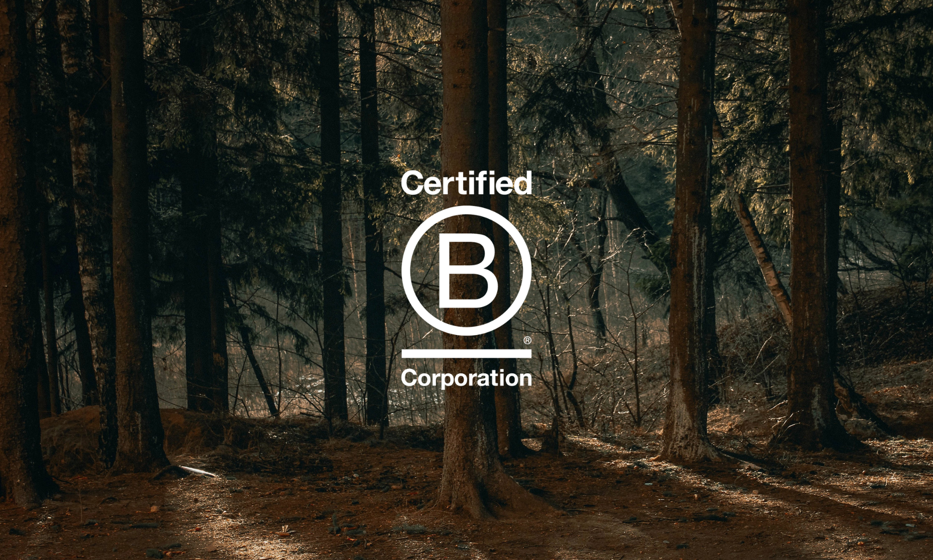 Altitude Design and Just Enough Brave: Plymouth’s First B Corp Certified Businesses