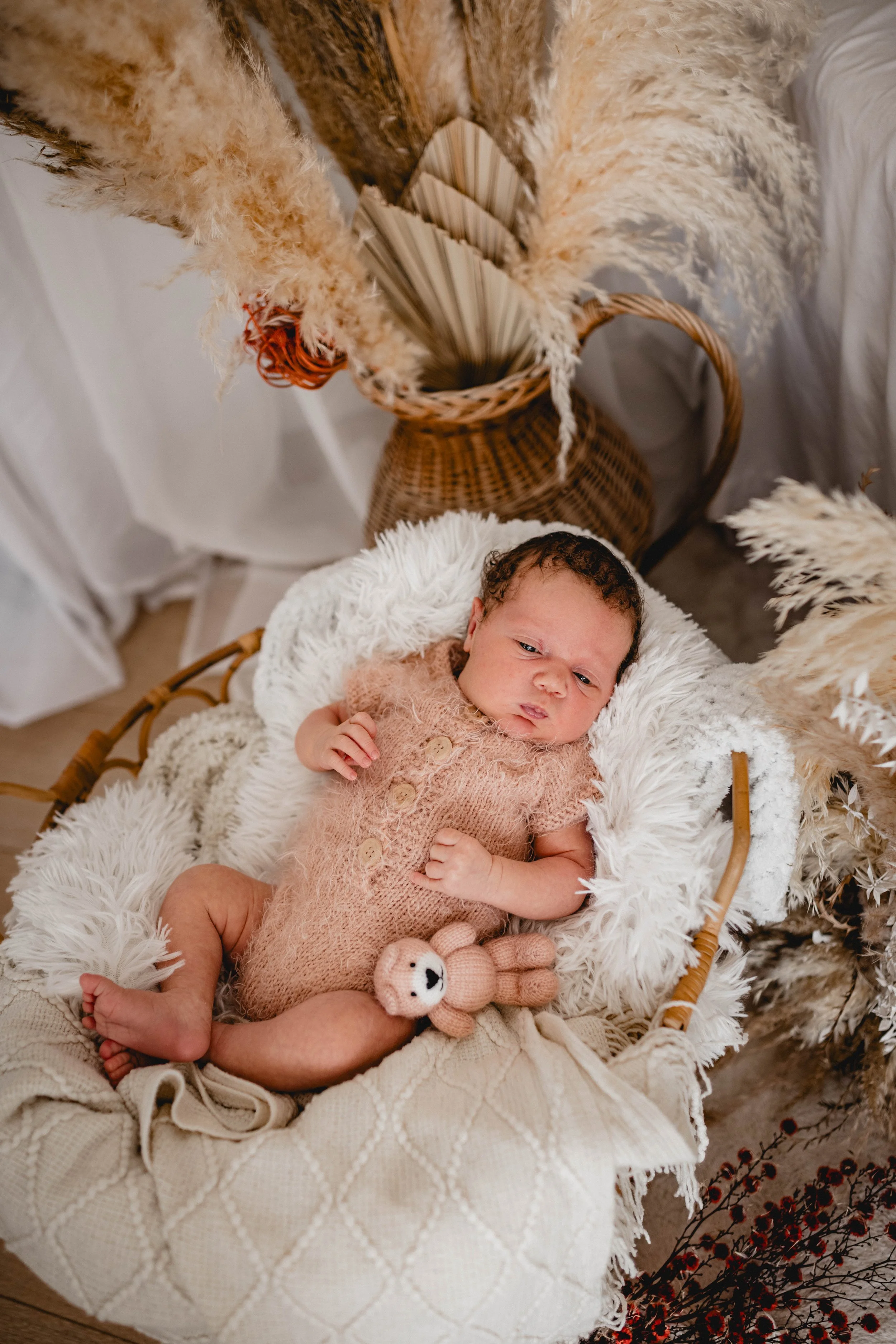 Ein Baby liegt in einem kuscheligen Korb, umgeben von weißen und beigen Textilien, mit einer kleinen Stoffbär-Statue auf dem Bauch, in einem dekorativen Raum mit getrockneten Pflanzen und geflochtenen Körben.