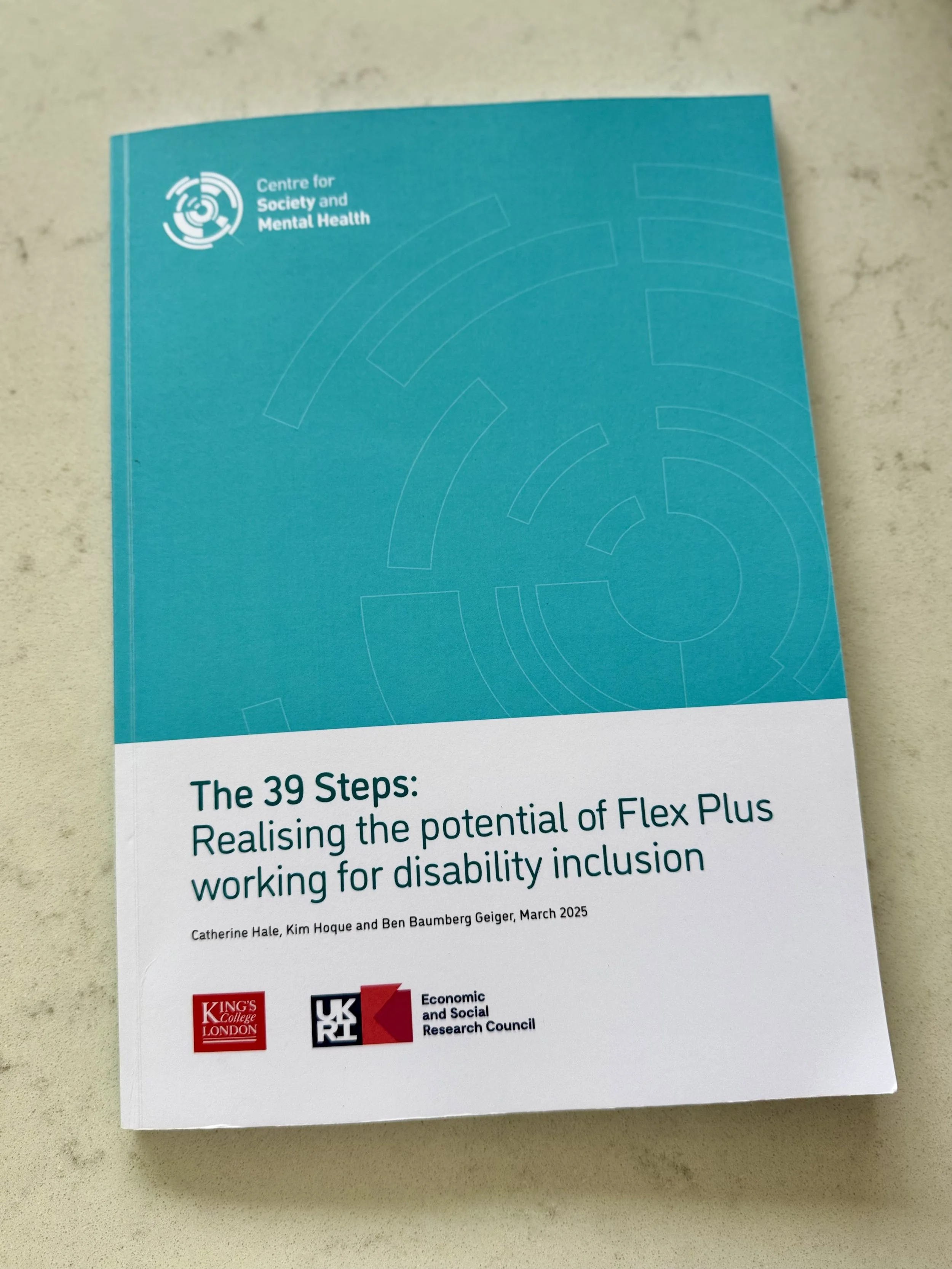 The FlexPlus Report: Inclusive Solutions for Disabled Jobseekers