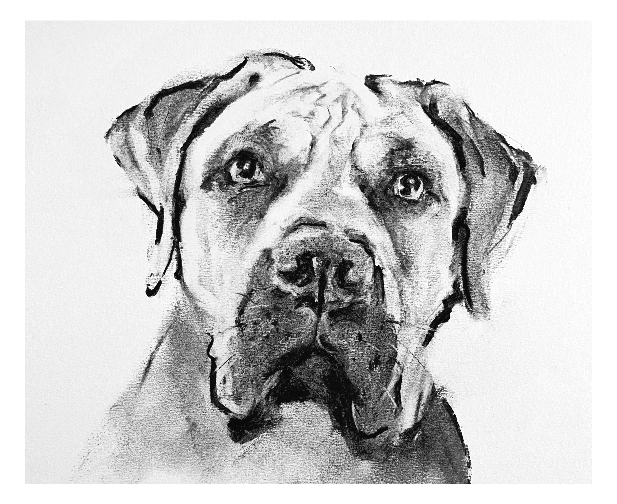 A black-and-white charcoal drawing of a dog's face, focusing on the eyes, nose, and mouth.