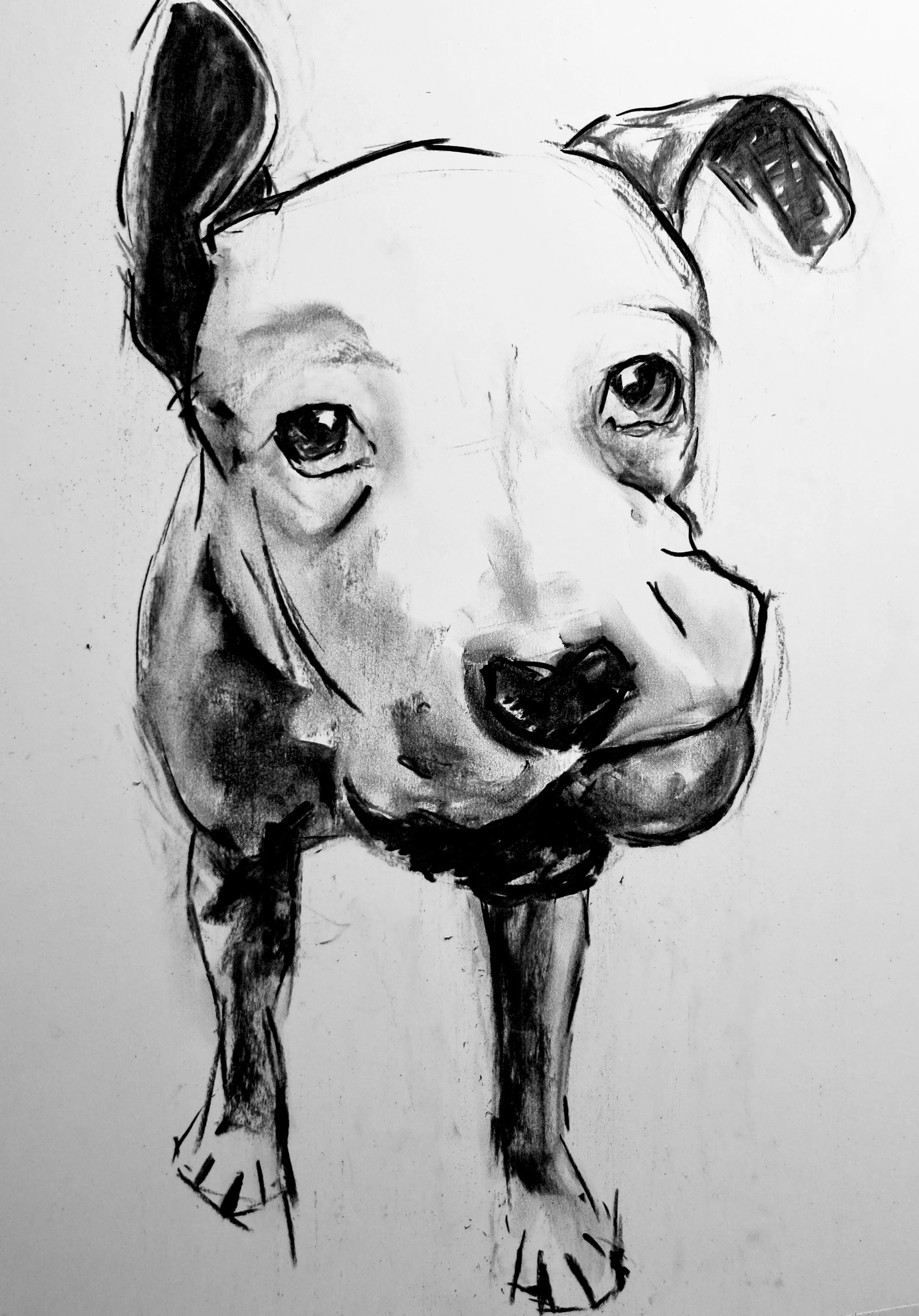 Black and white sketch of a dog with floppy ears and a happy expression, standing on its hind legs.