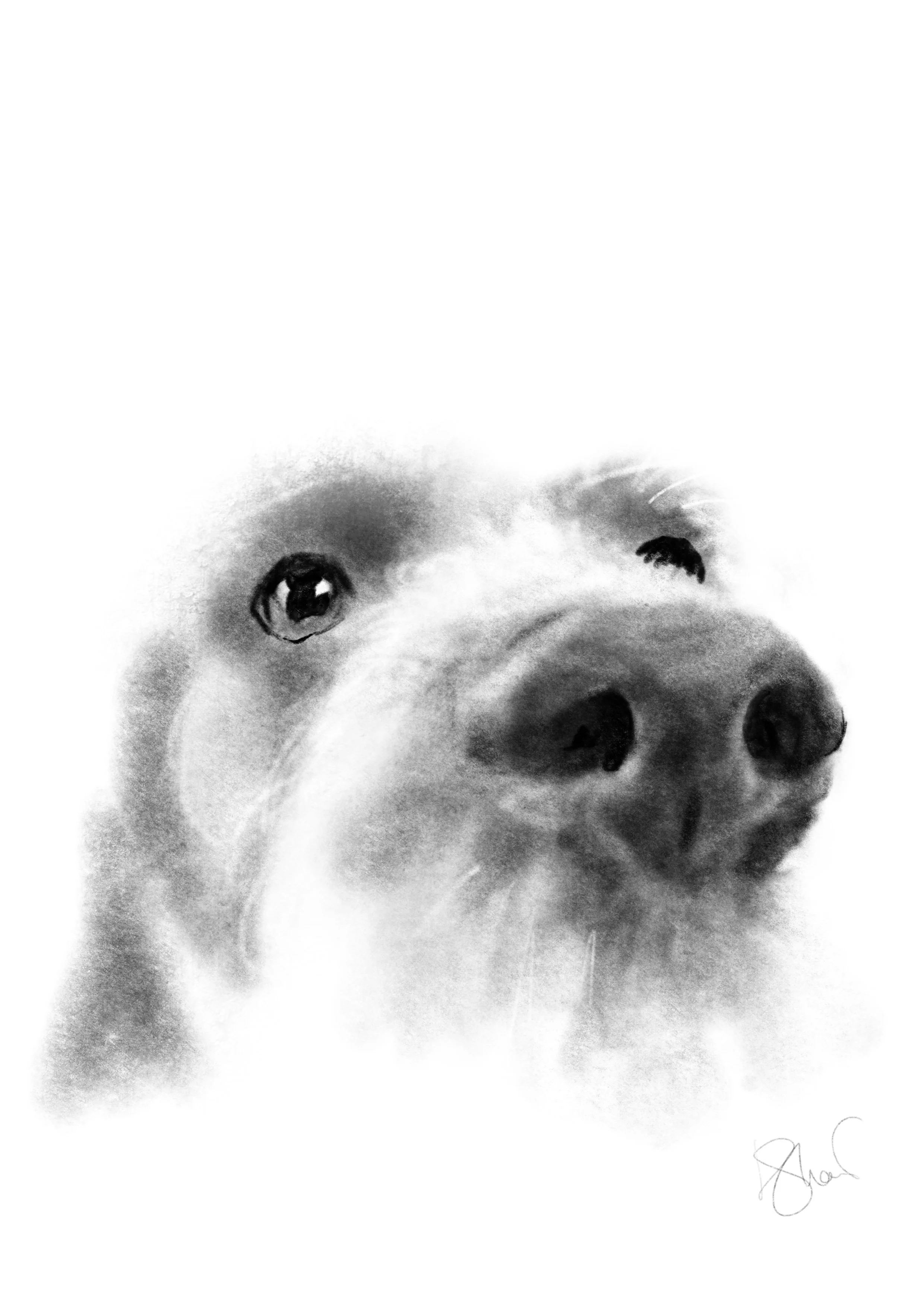 IMG_4428.jpeg