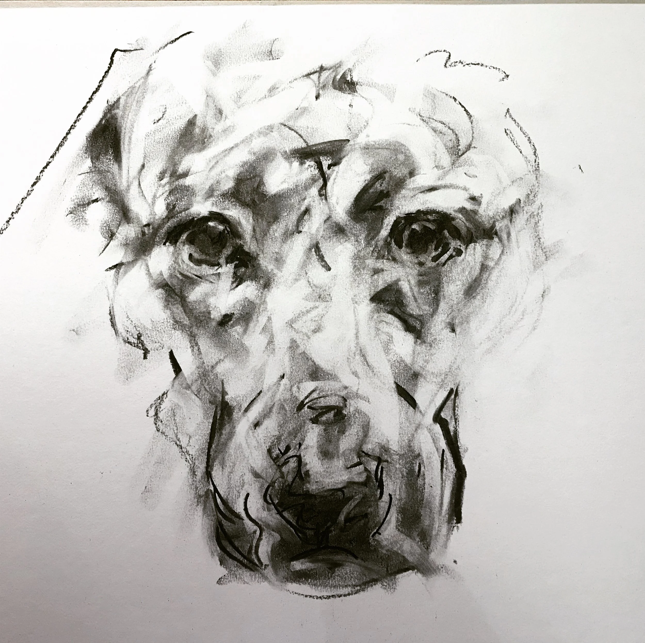 A black and white abstract sketch of a face with curly hair, large eyes, and pronounced facial features.