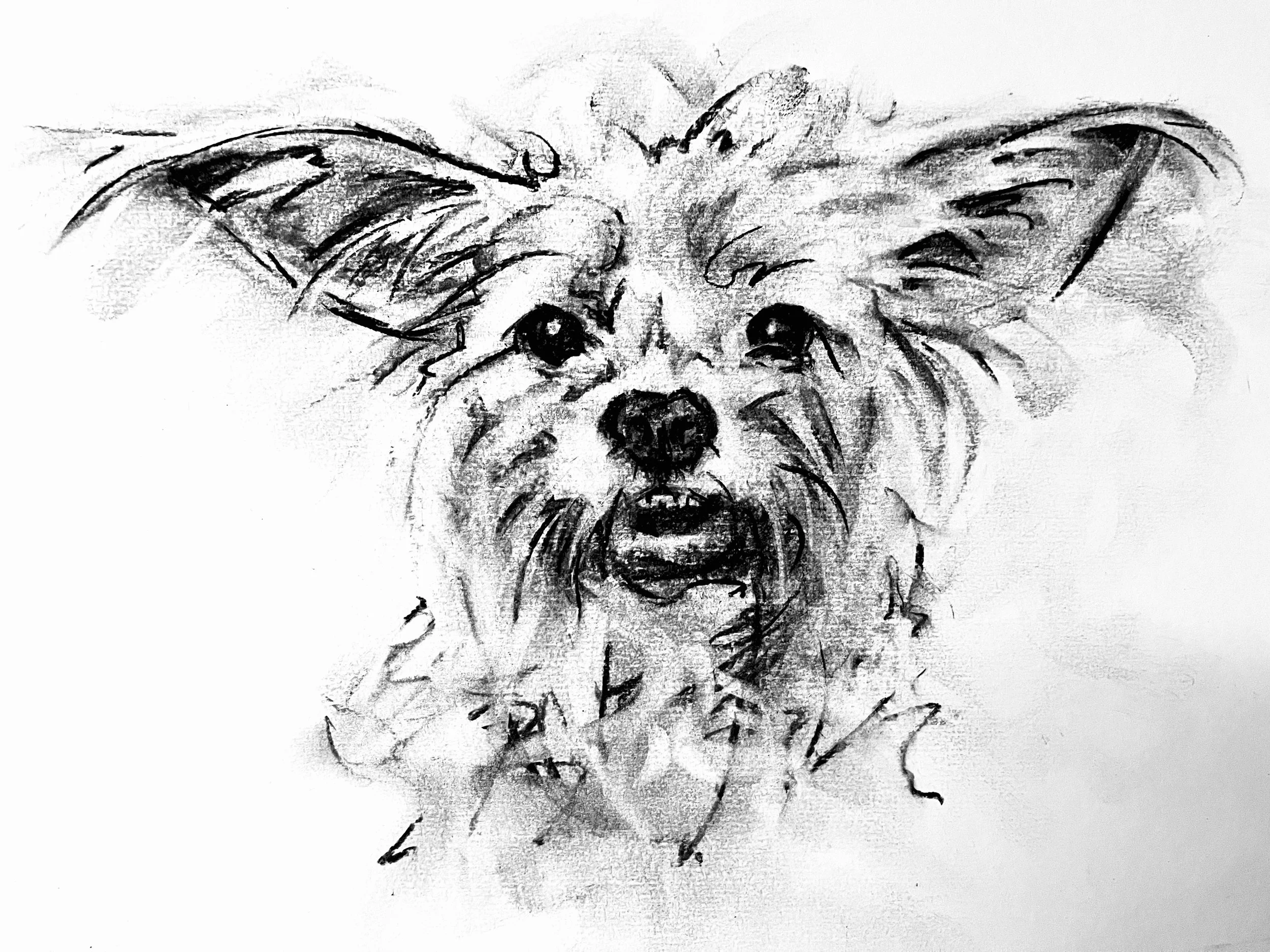 Sketch of a dog with large eyes, pointed ears, and a spiky collar, drawn with rough black lines on white paper.