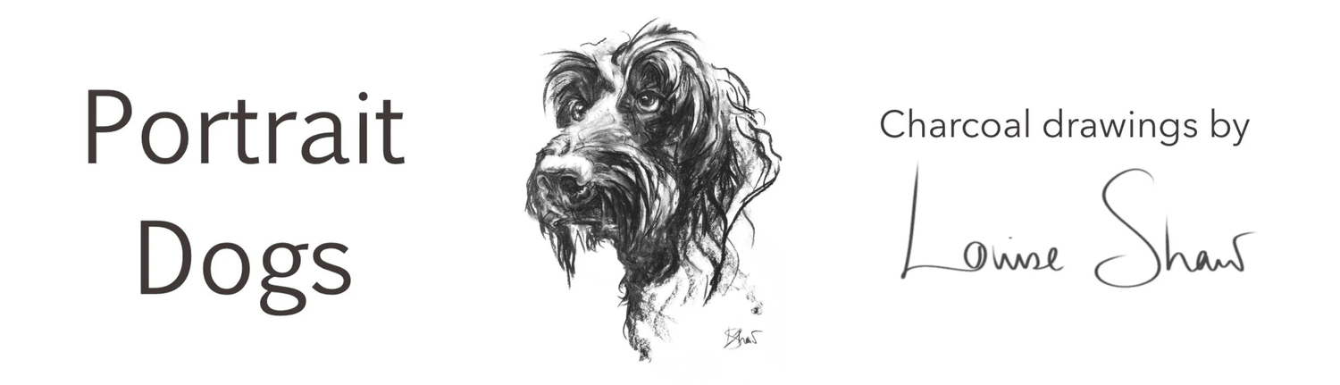 Portrait Dogs drawn by Louise Shaw