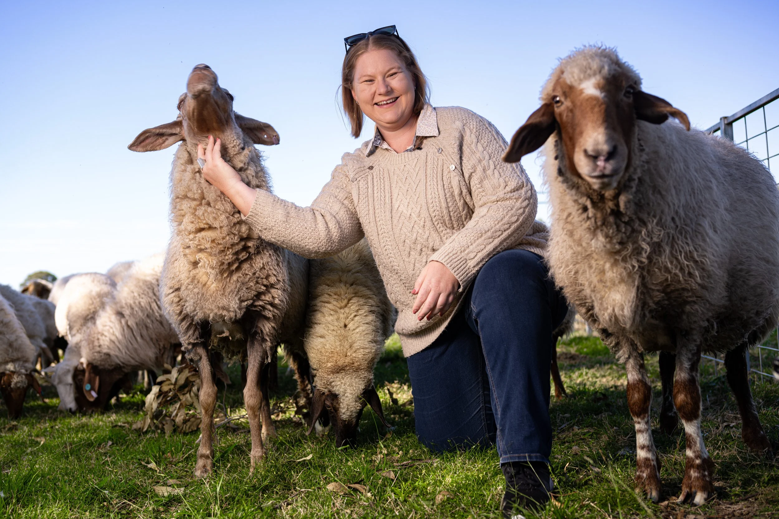 A smiling woman petting a sheep and standing among a flock of sheep outdoors, with a clear blue sky and fencing in the background.
