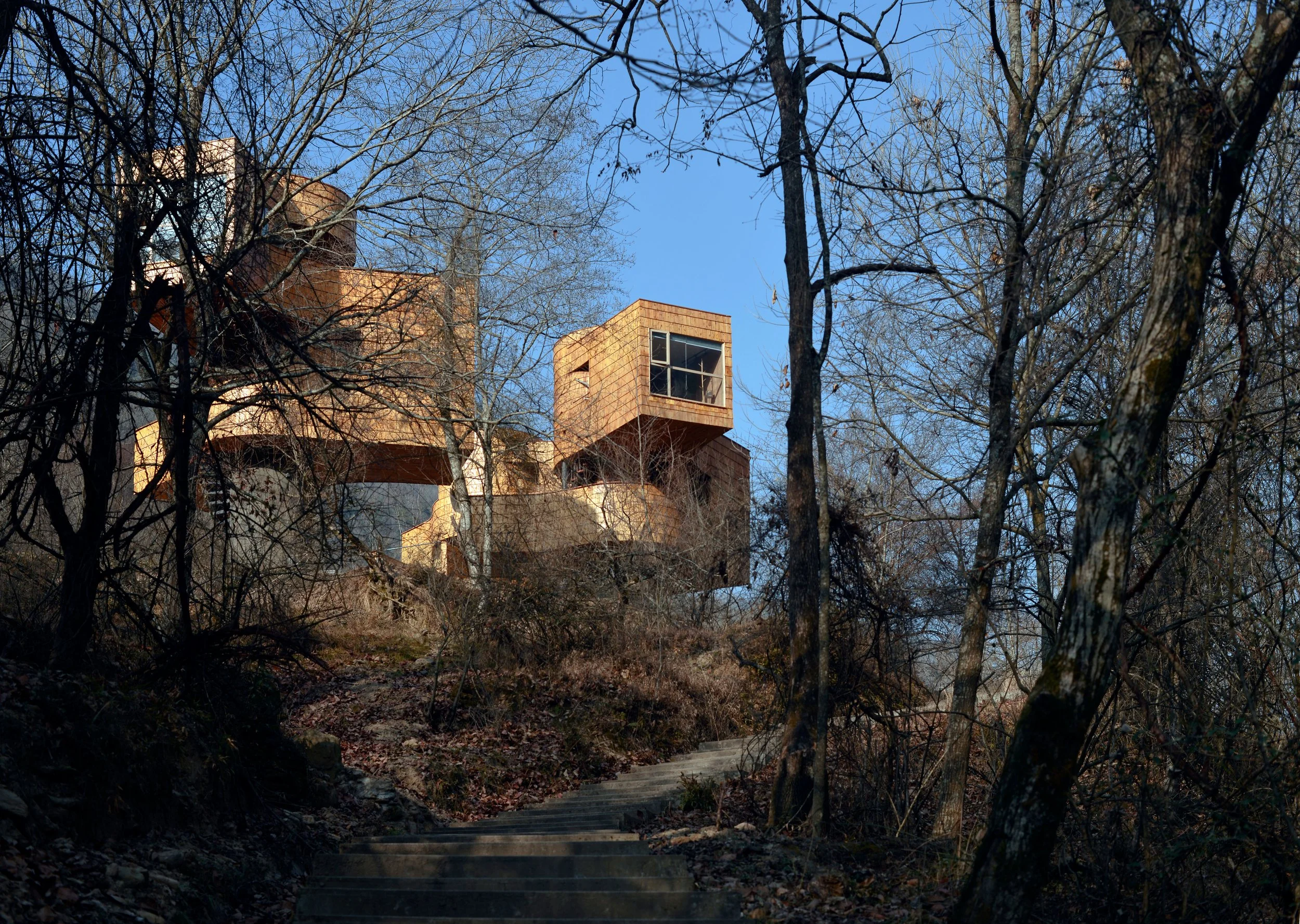 Wildlife Observation Tower — CLAB Architects
