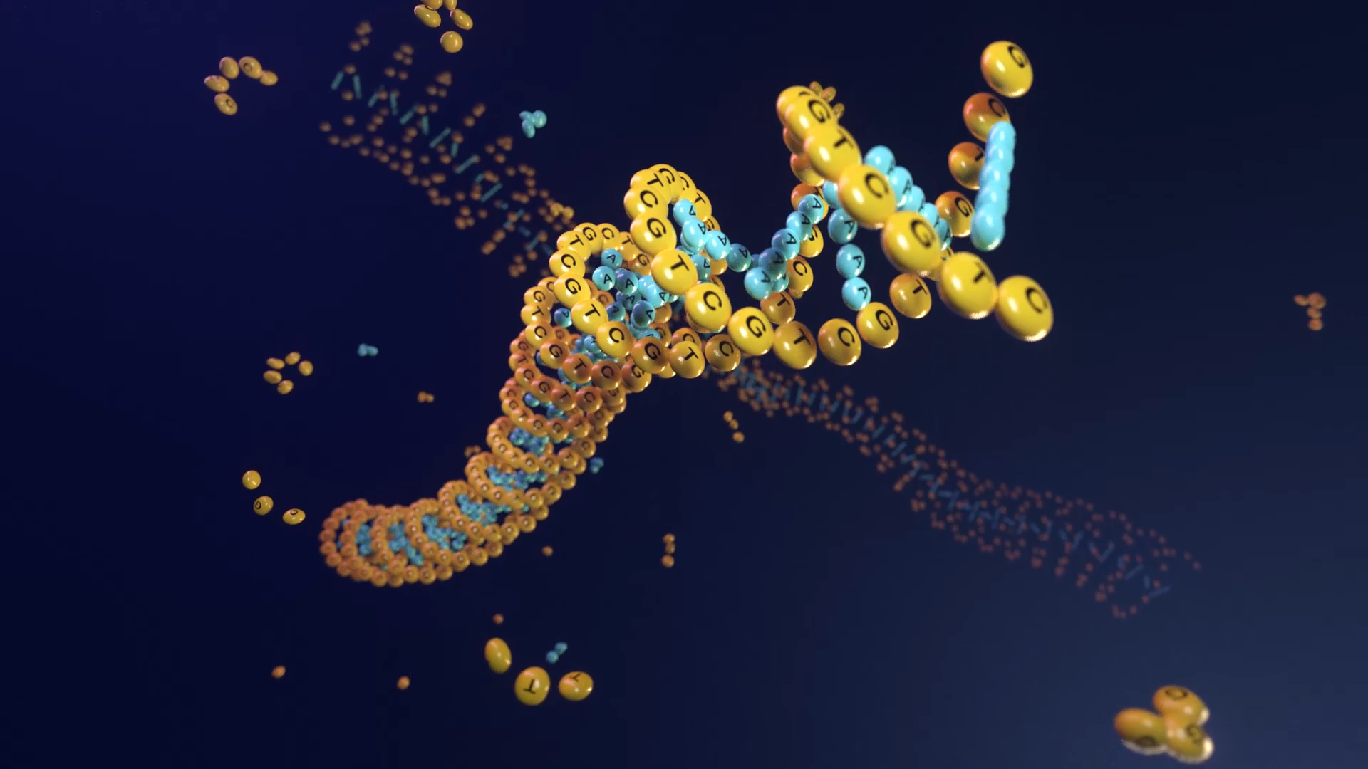 DNA Doubel Helix.png