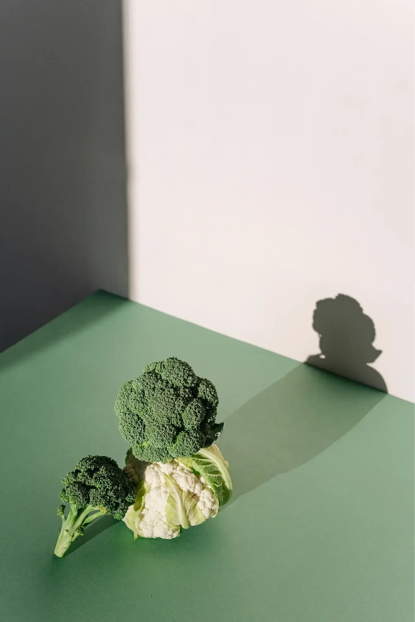 Künstlich nachgestelltes Brokkoli und Blumenkohl, Schatten an der weißen Wand