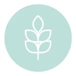 Ein minimalistisches Symbol eines blattförmigen Designs auf einem hellblauen Kreis.