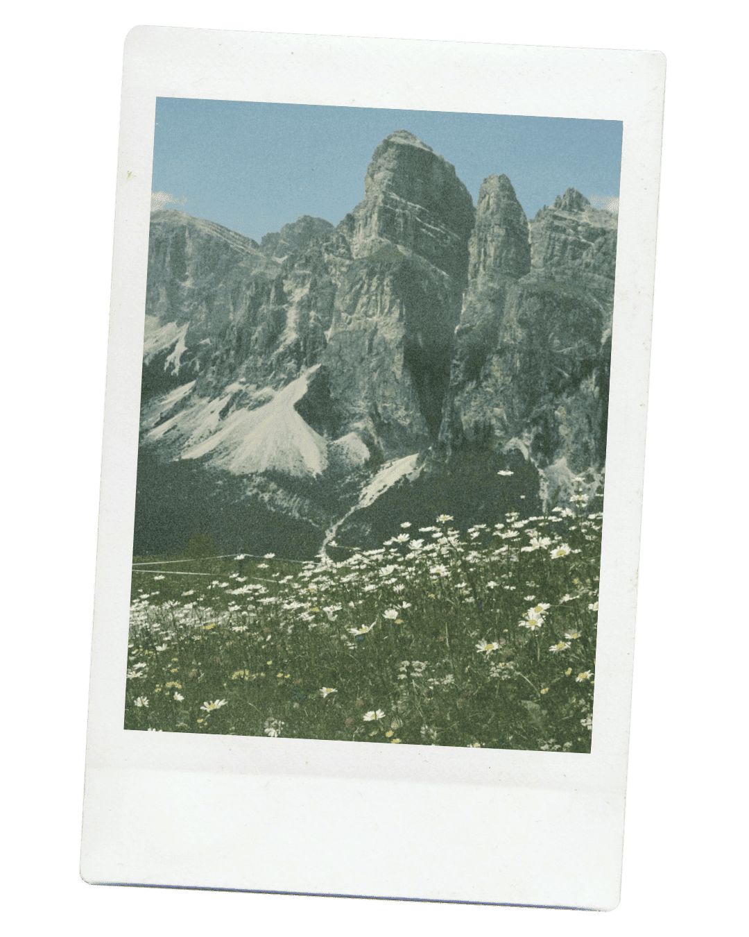 Polaroid — prairie de marguerites au pied d'une montagne rocheuse