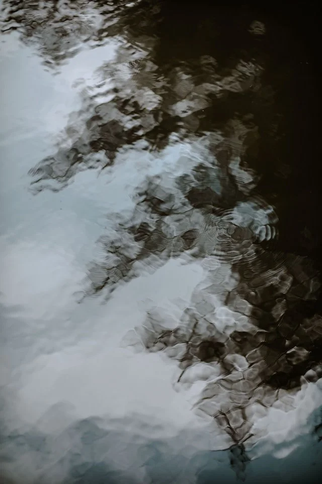 Reflet d'arbres et de nuages à la surface de l'eau