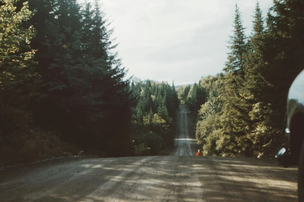 A dirt road through a forested area with tall pine trees, with a vehicle partially visible on the right side.