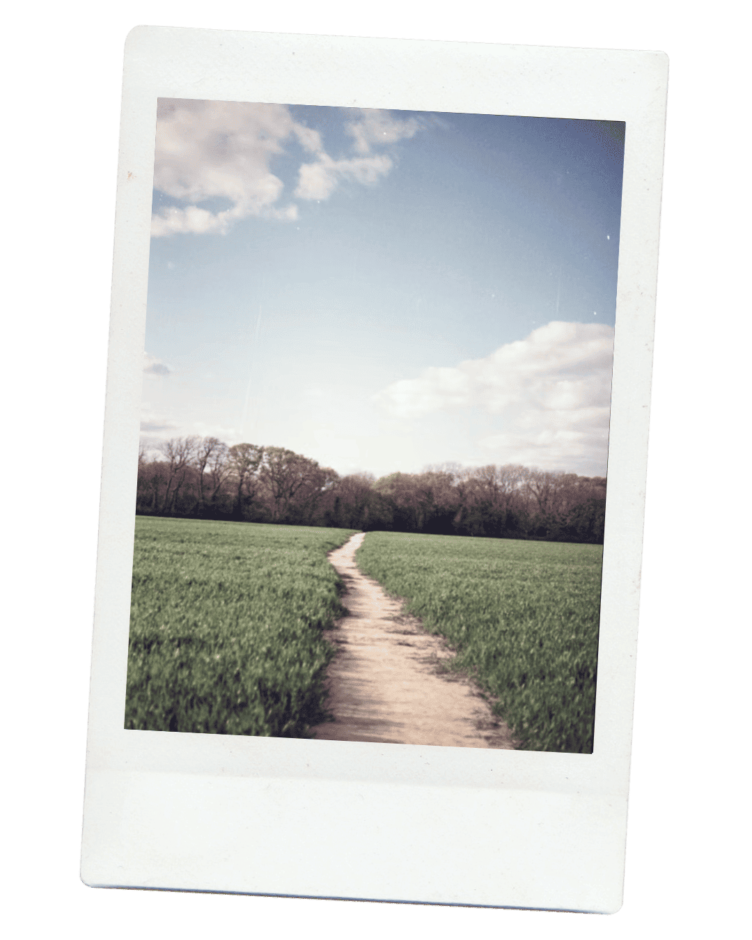 Polaroid — sentier qui traverse un champ vers une forêt