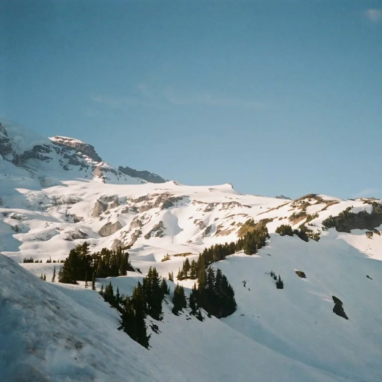 Photo argentique d'une montagne enneigée avec des sapins et un ciel bleu