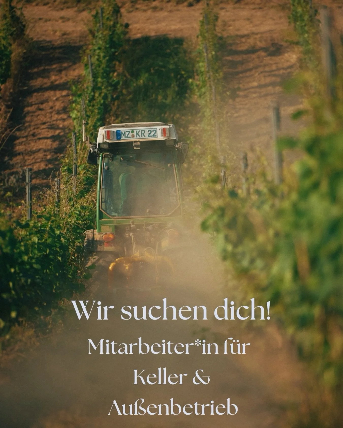 *Mitarbeiter*in Au&szlig;enbetrieb &amp; Keller (m/w/d)*

Vollzeit oder Teilzeit | ab sofort
Du m&ouml;chtest Teil eines qualit&auml;tsorientierten Familienweinguts werden und mit Leidenschaft an der Entstehung gro&szlig;er Weine mitwirken? Dann freu