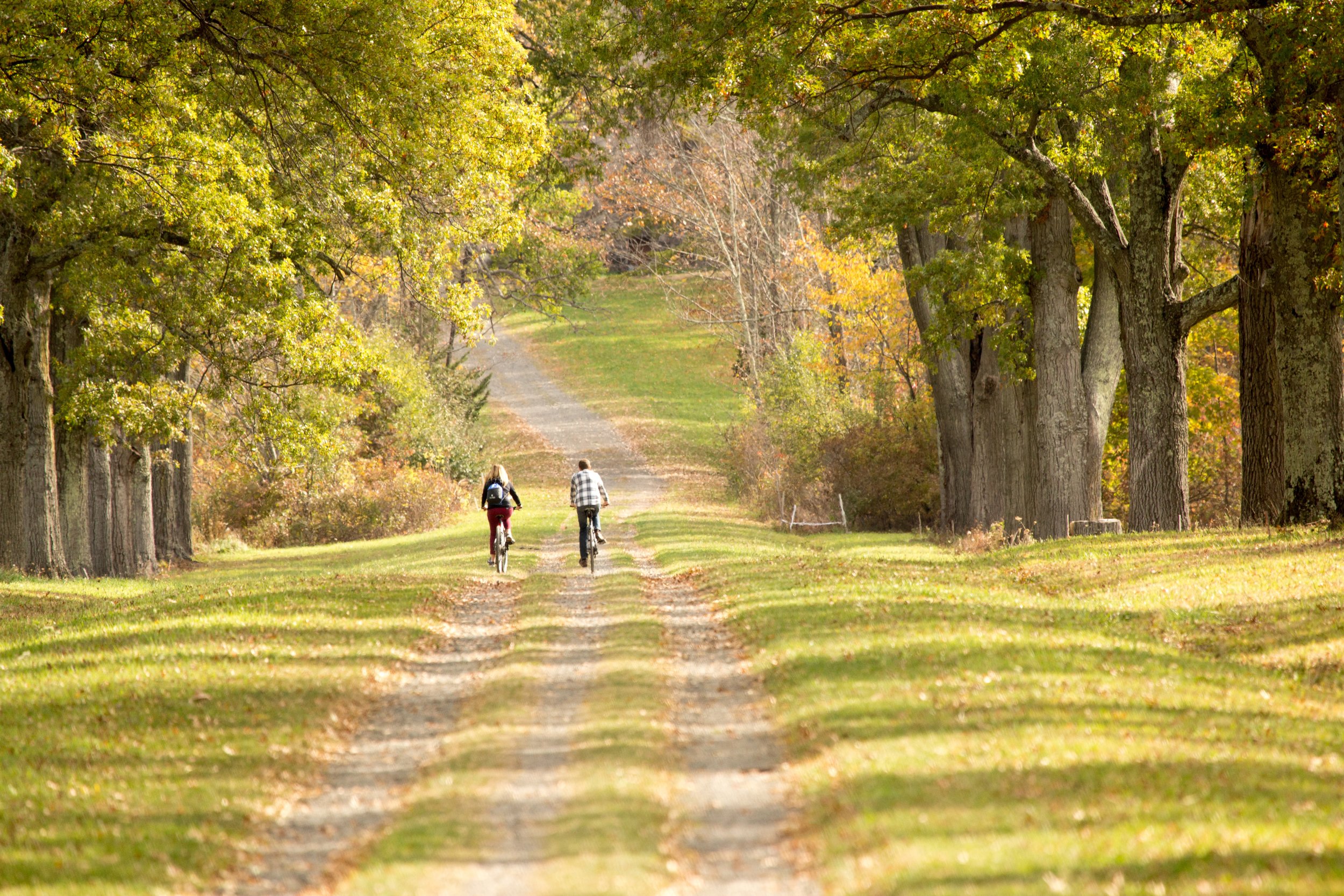 Two people riding bicycles on a dirt path through a lush park with tall trees and green grass, autumn foliage visible in the background.