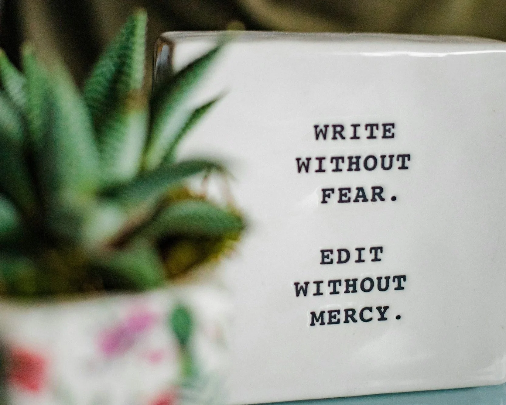 A plant with green, spiky leaves in a pot positioned next to a white card with a quote in black text that reads, 'Write without fear. Edit without mercy.'